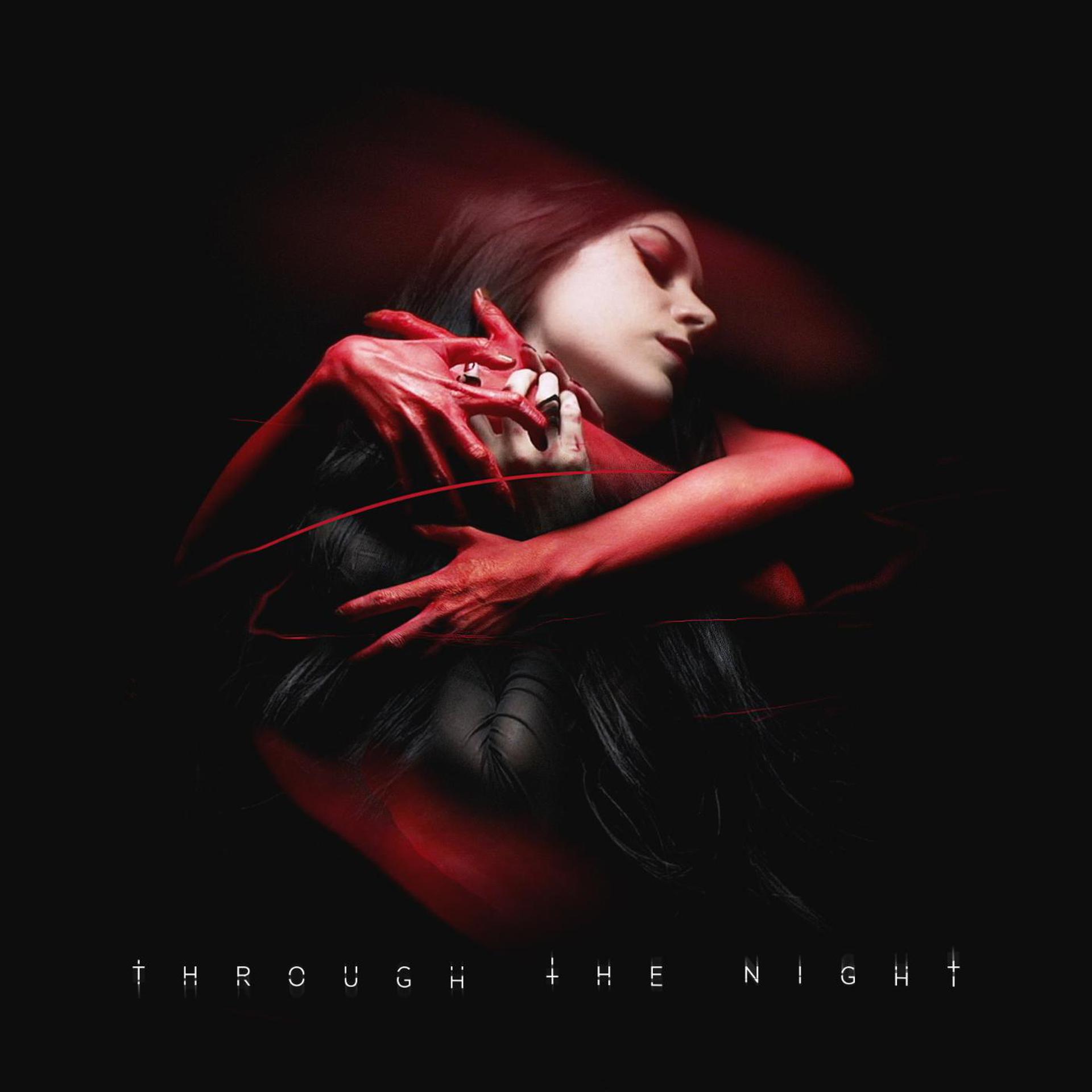Постер альбома Through the Night (feat. Trivecta)