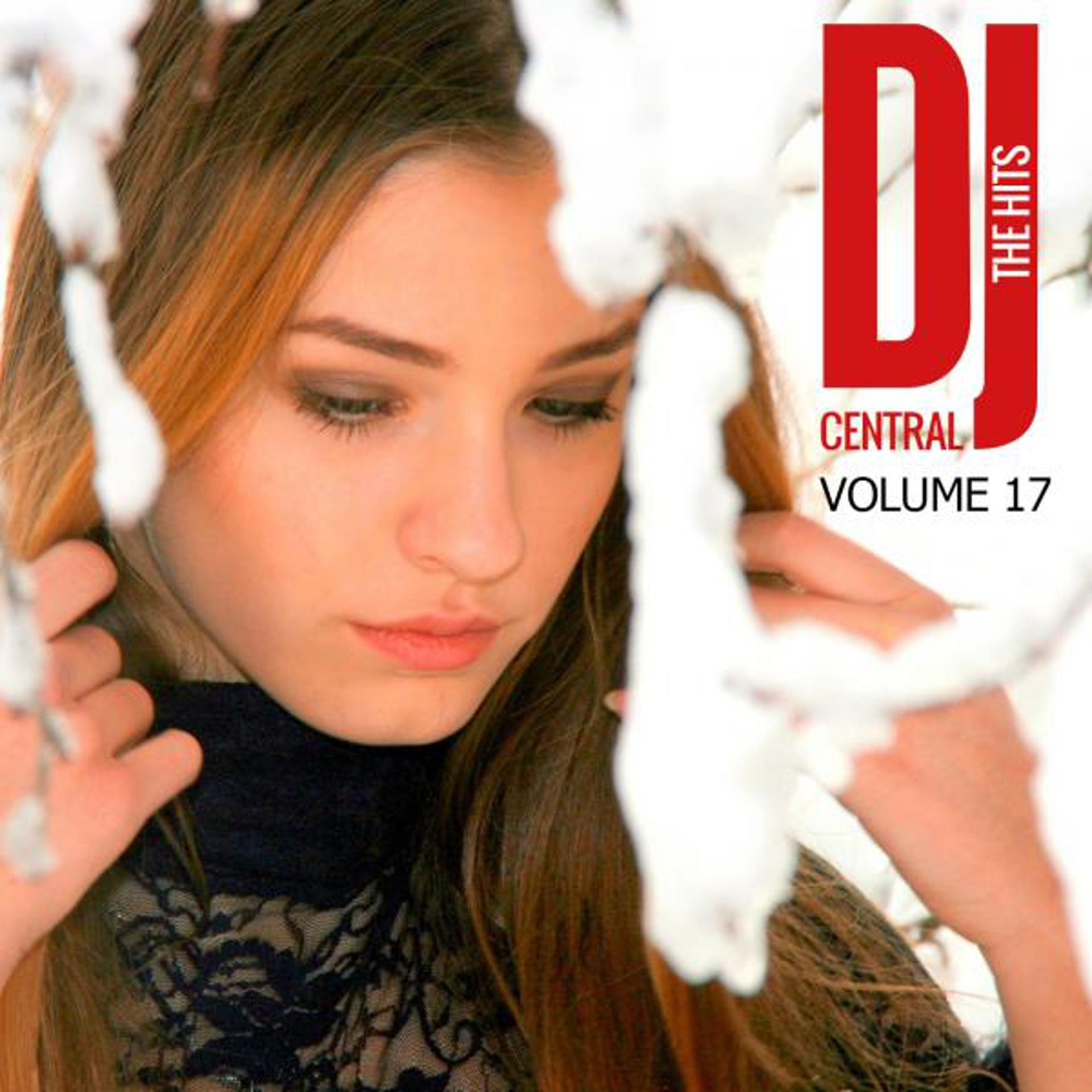 Постер альбома DJ Central - The Hits, Vol. 17