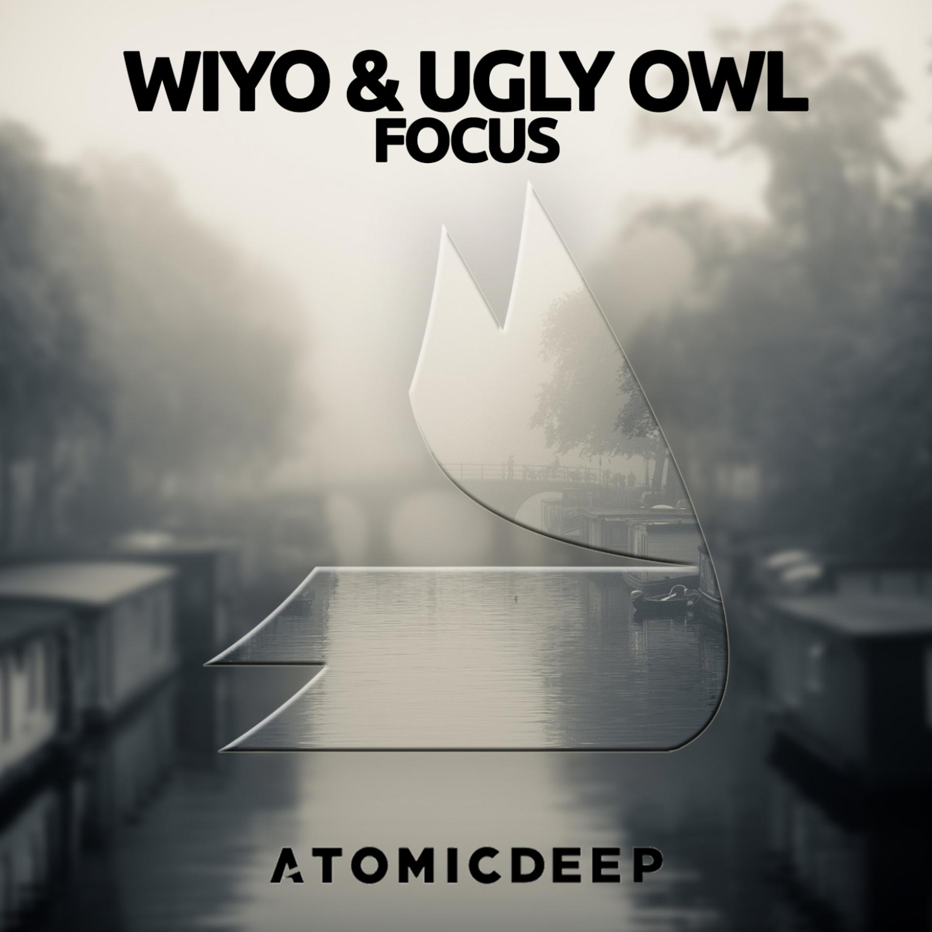 Постер альбома Focus (AtomicDeep)