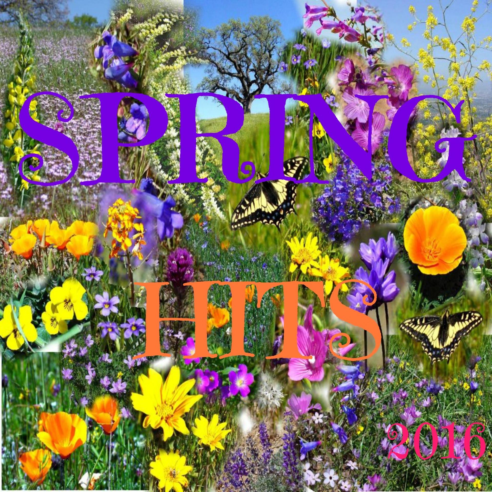 Постер альбома Spring Hits 2016