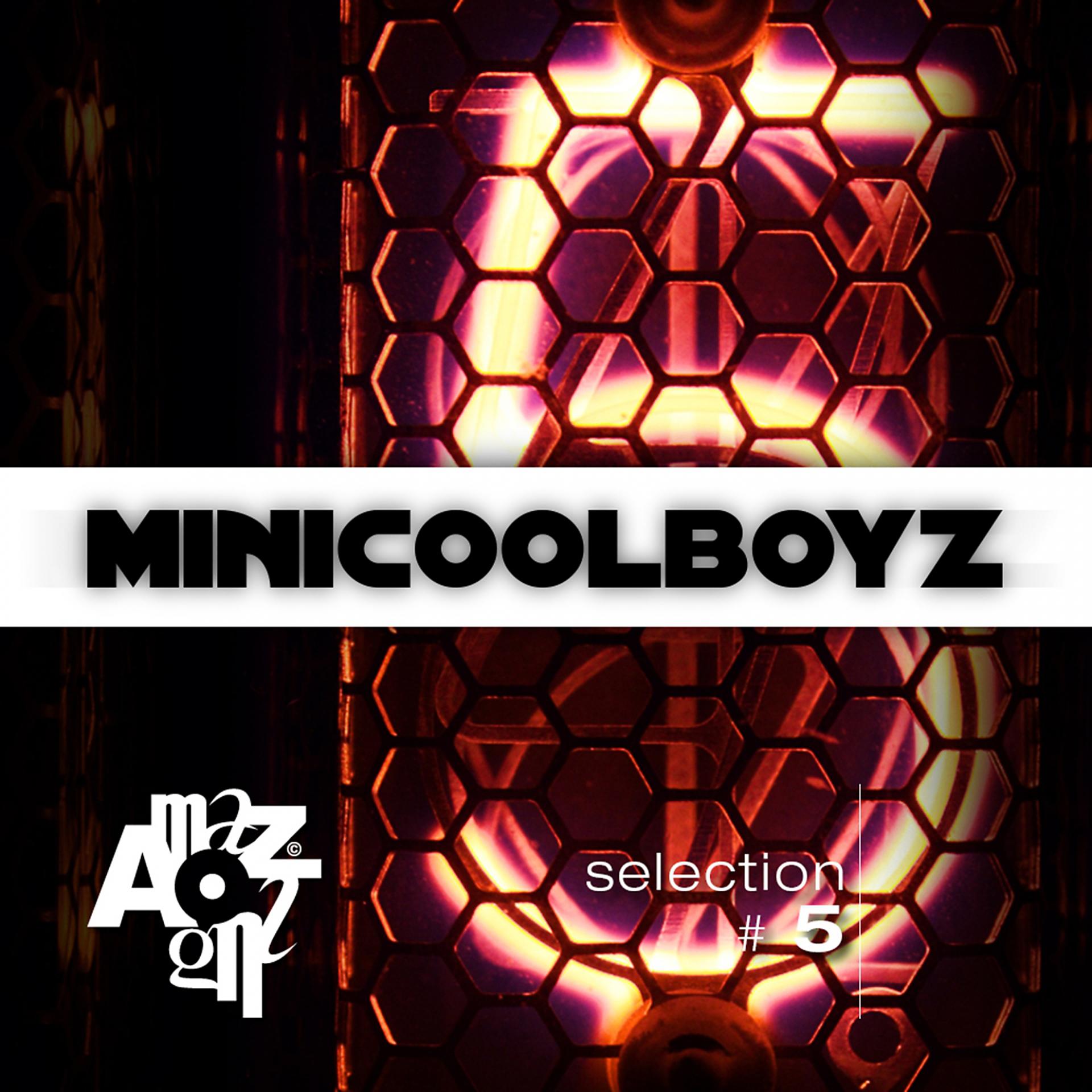 Постер альбома MiniCoolBoyz Selection n' .5