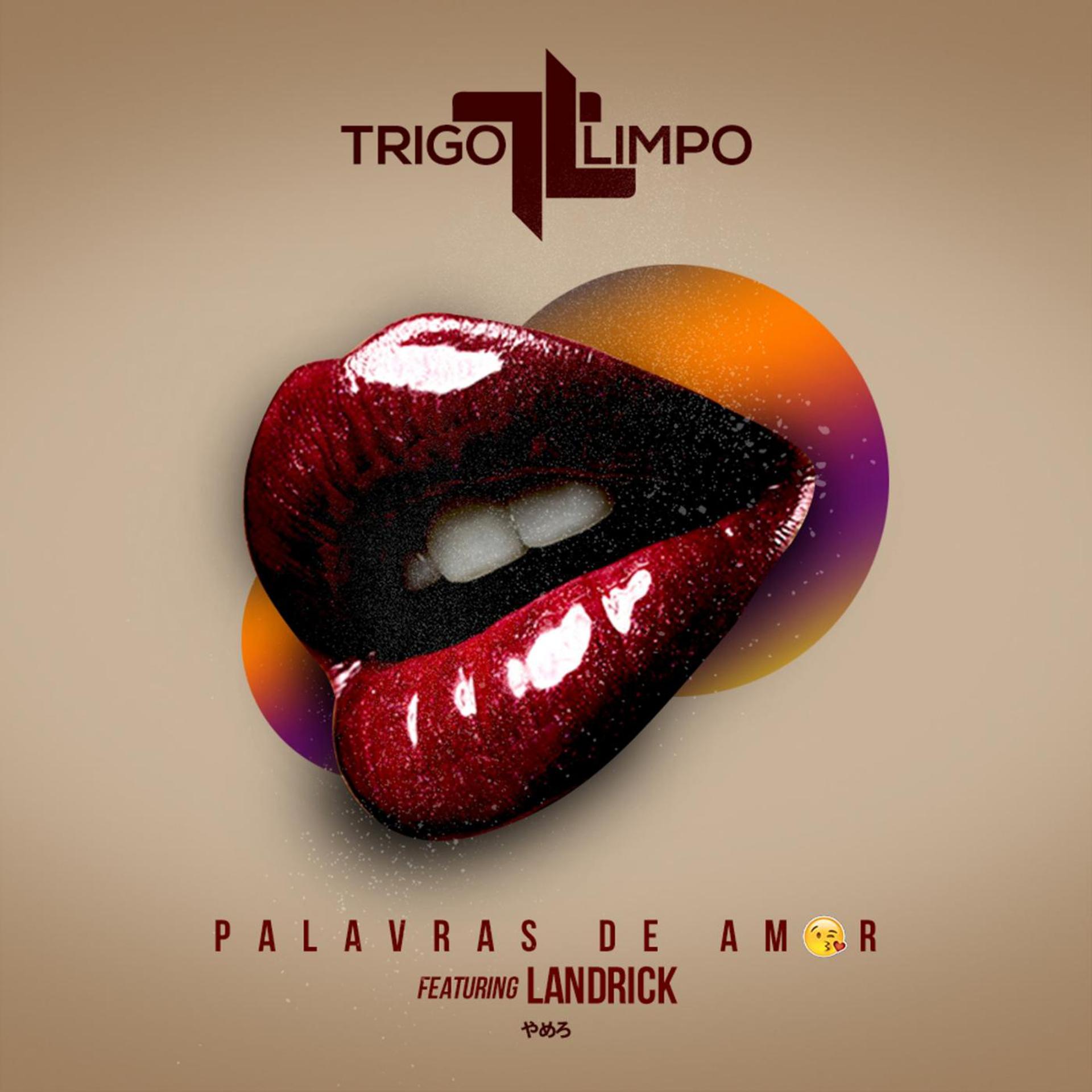 Постер альбома Palavras de Amor (feat. Landrick)