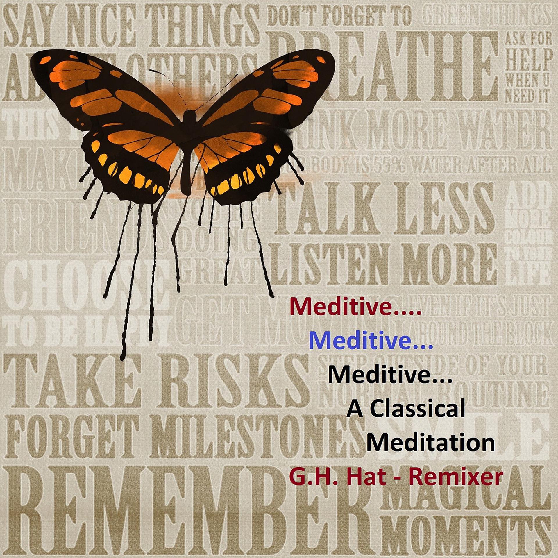 Постер альбома Meditive...a Classical Meditation