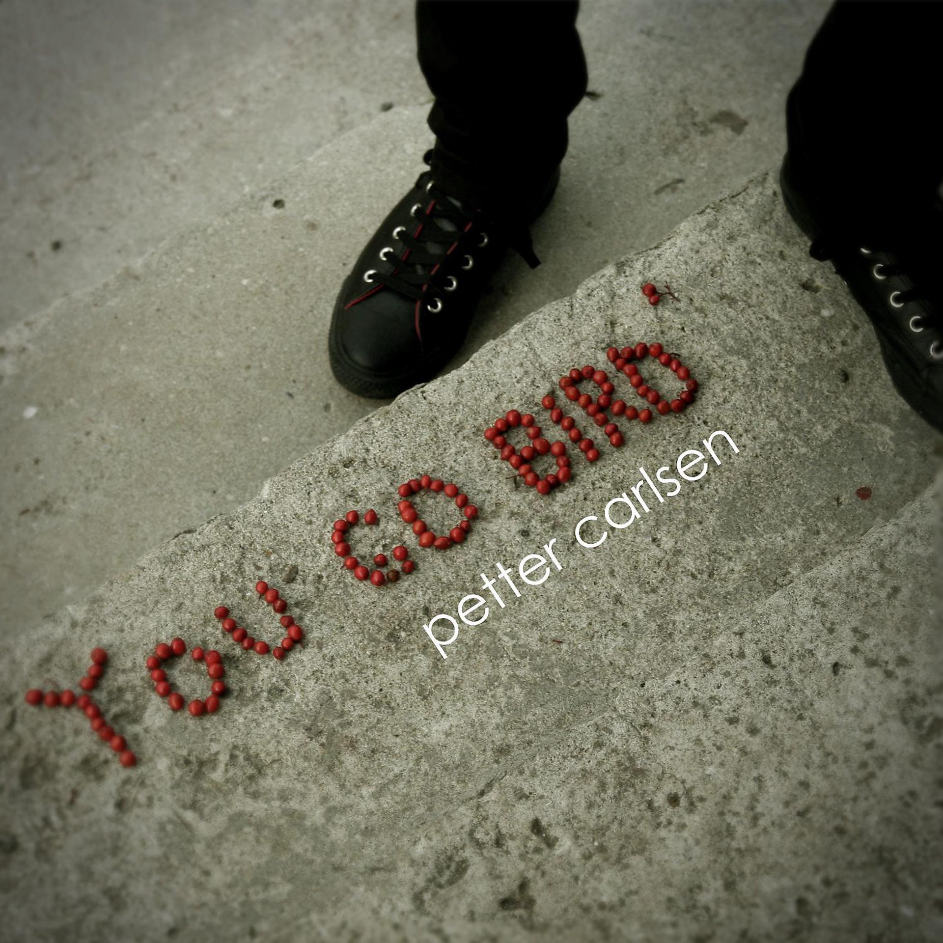 Постер альбома You Go Bird