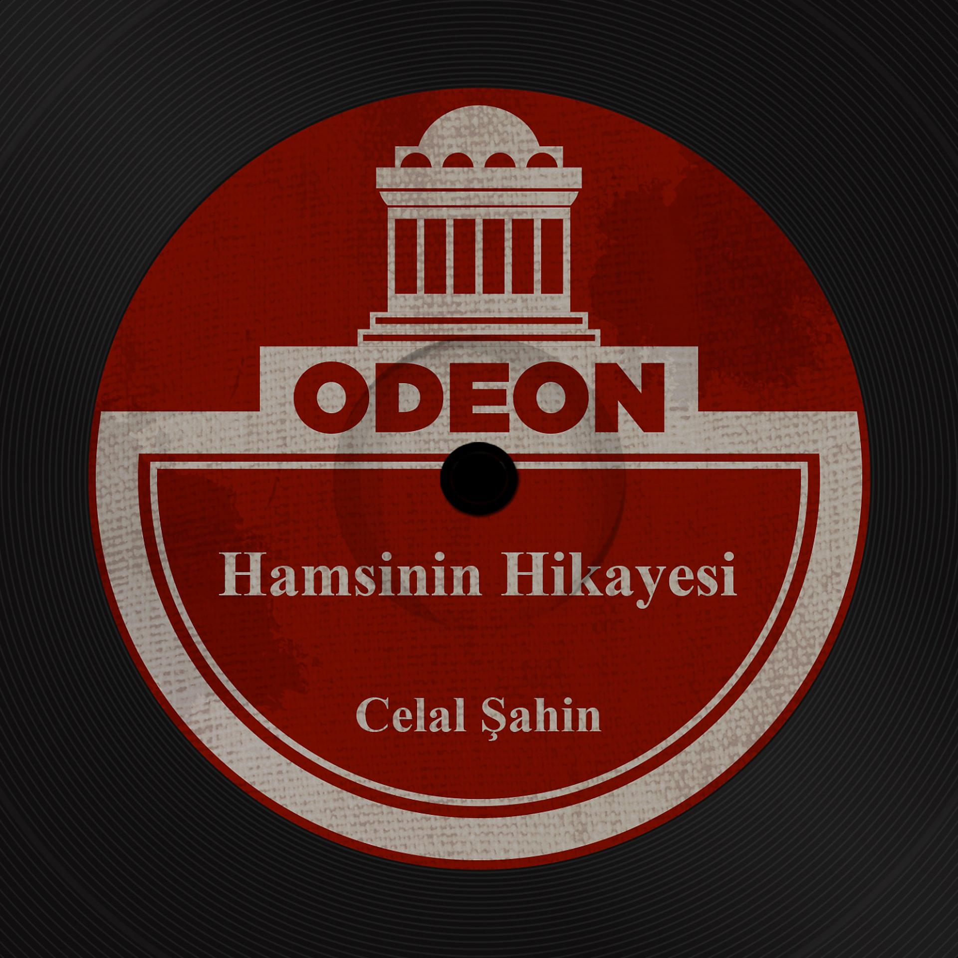 Постер альбома Hamsinin Hikayesi