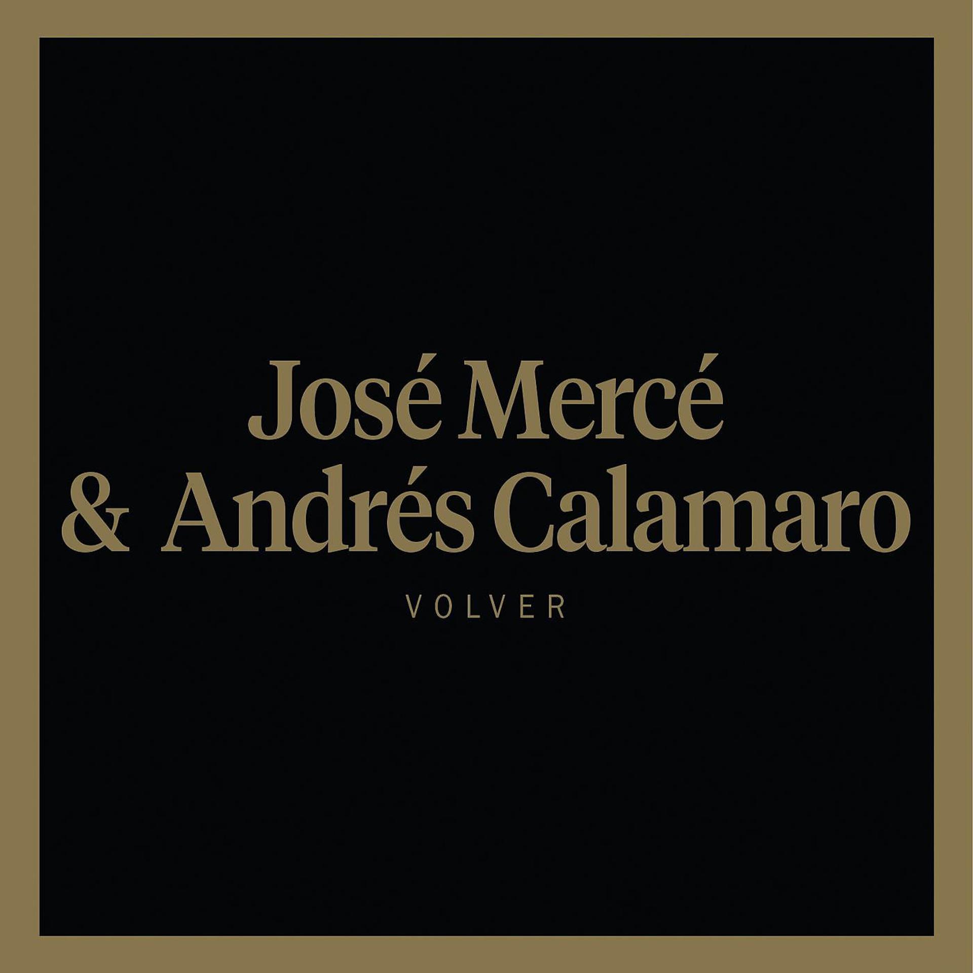 Постер альбома Volver (feat. Andrés Calamaro)