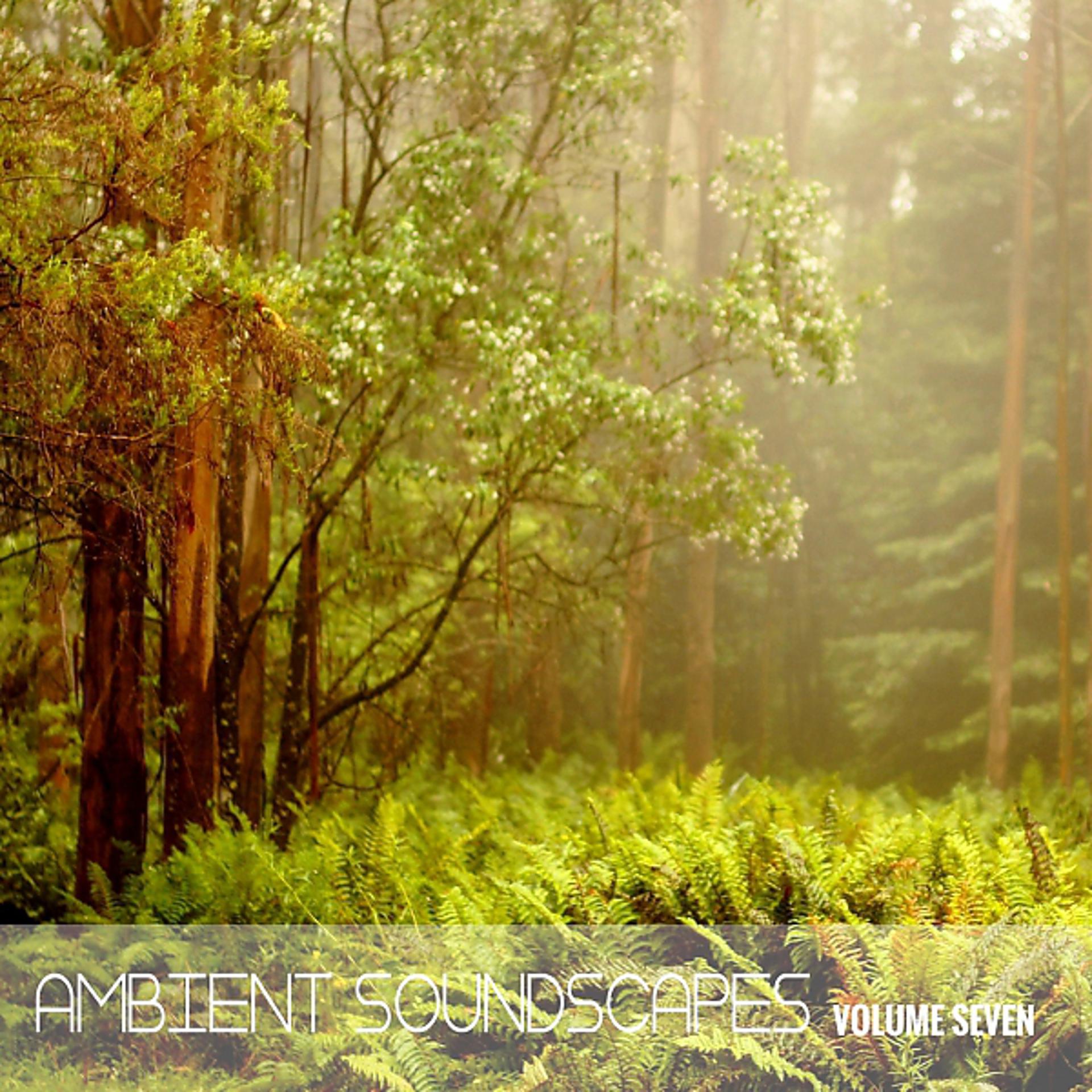 Постер альбома Ambient SoundScapes, Vol. 7