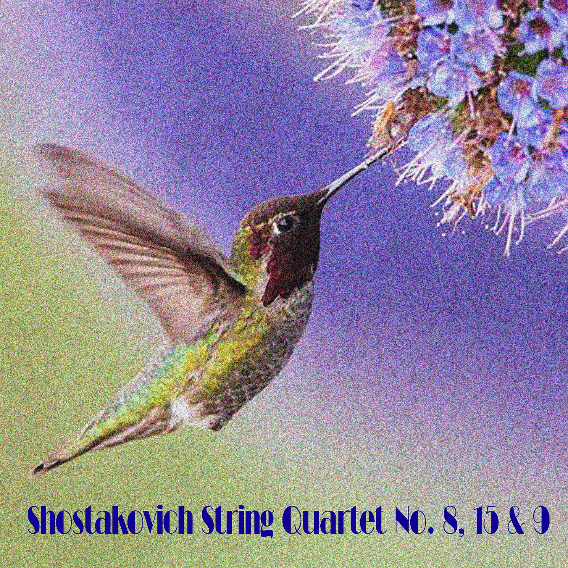 Постер альбома Shostakovich String Quartet No. 8, 15 & 9