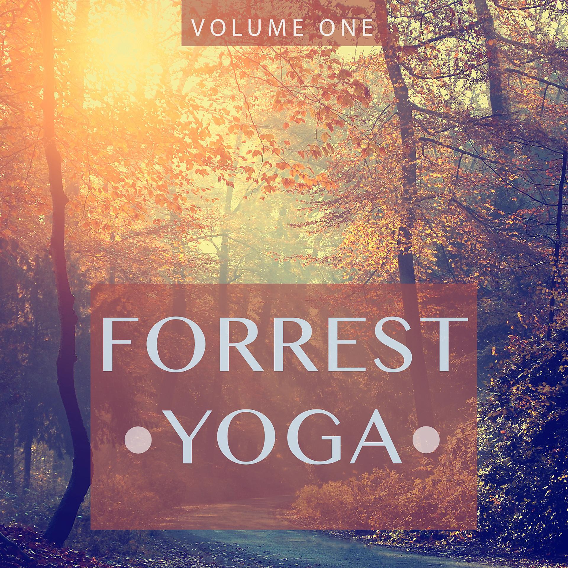 Постер альбома Forrest Yoga, Vol. 1
