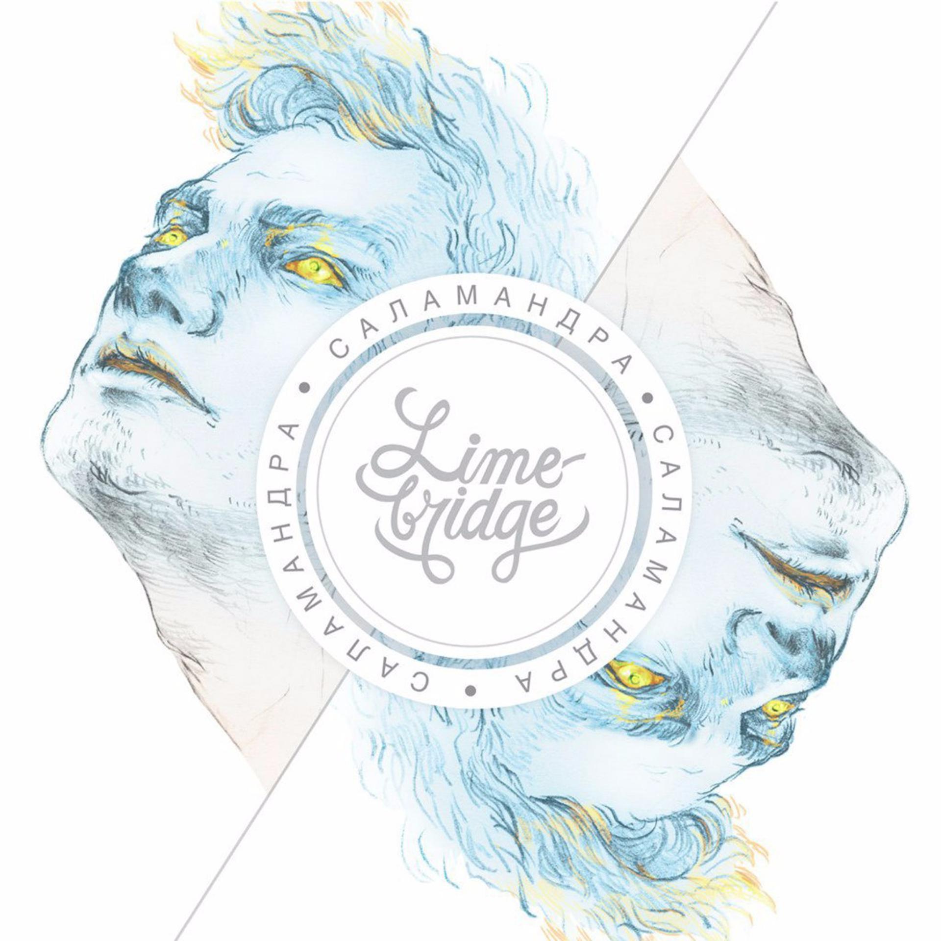 Постер альбома Саламандра