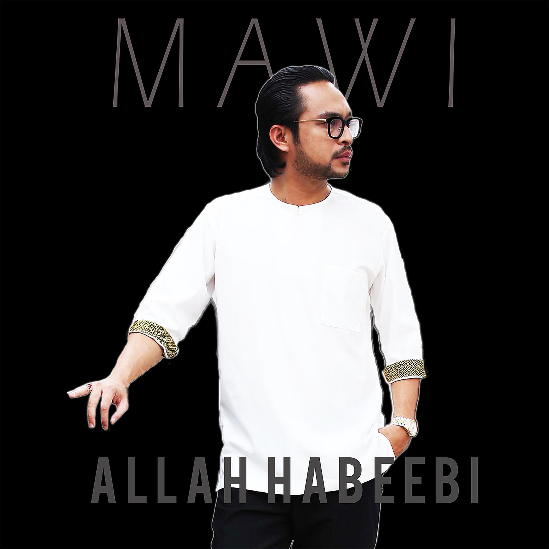 Постер альбома Allah Habeebi