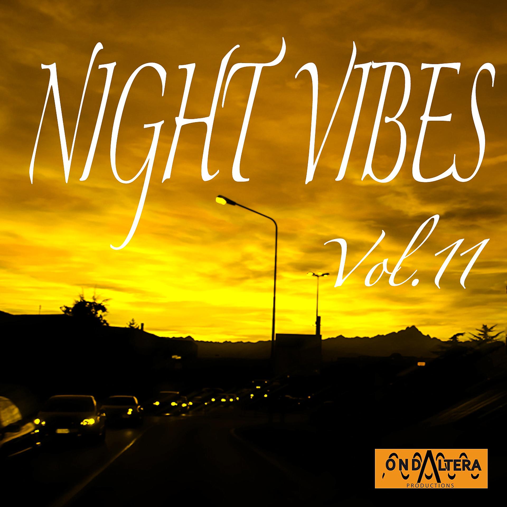 Постер альбома Night Vibes, Vol. 11