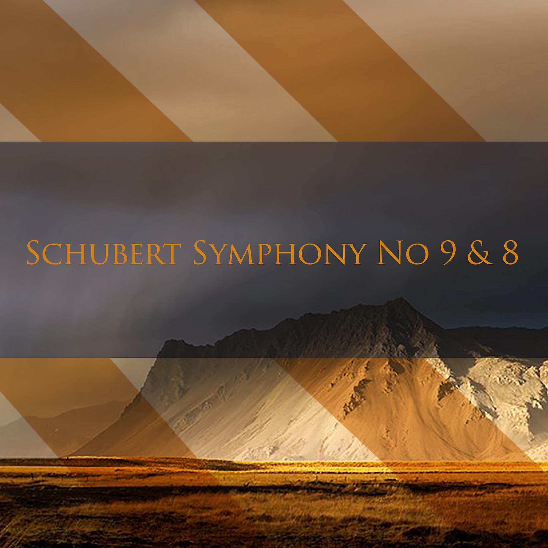 Постер альбома Schubert Symphony No 9 & 8