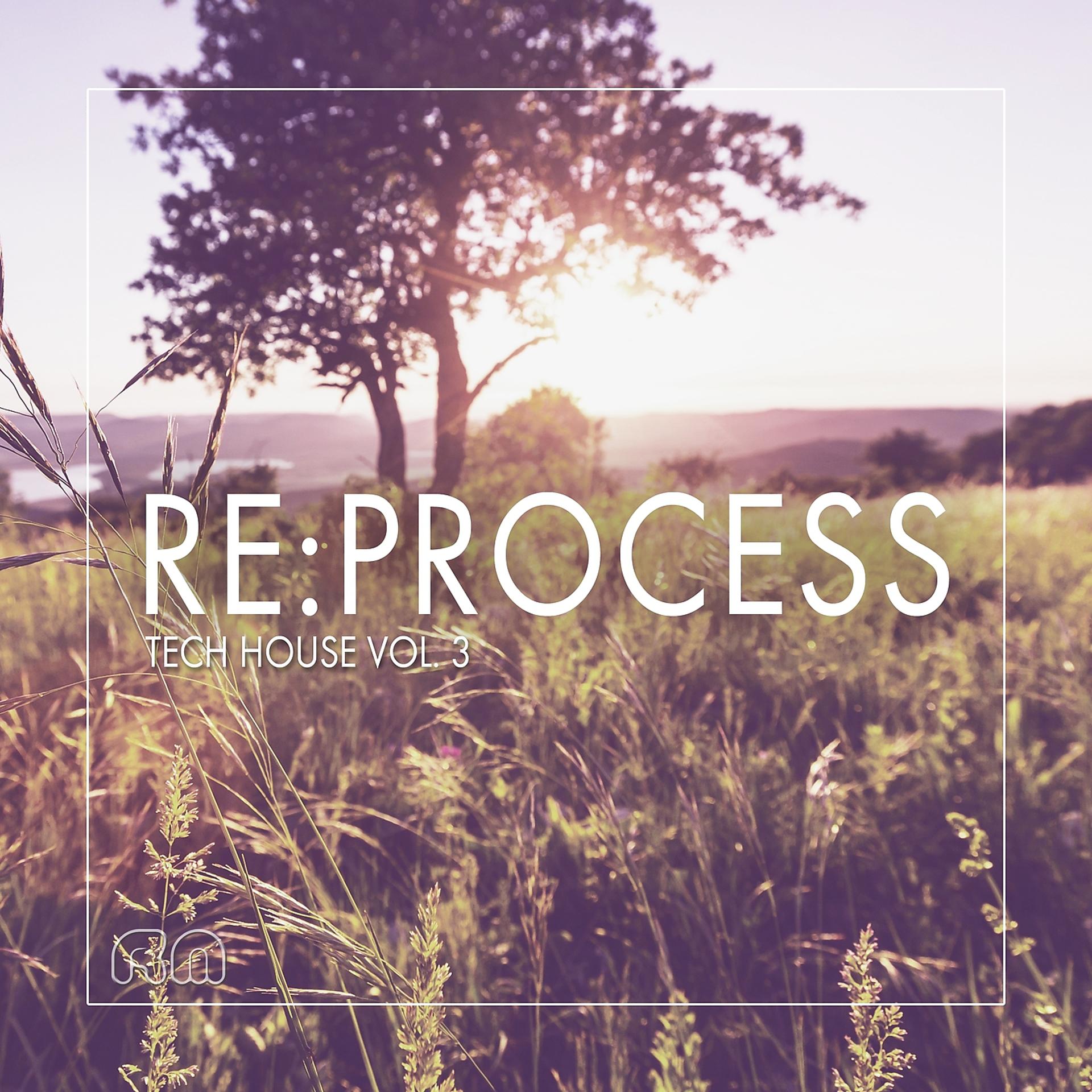 Постер альбома Re:Process - Tech House Vol. 3