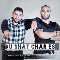 Постер альбома Du Shat Char Es (feat. Suro)