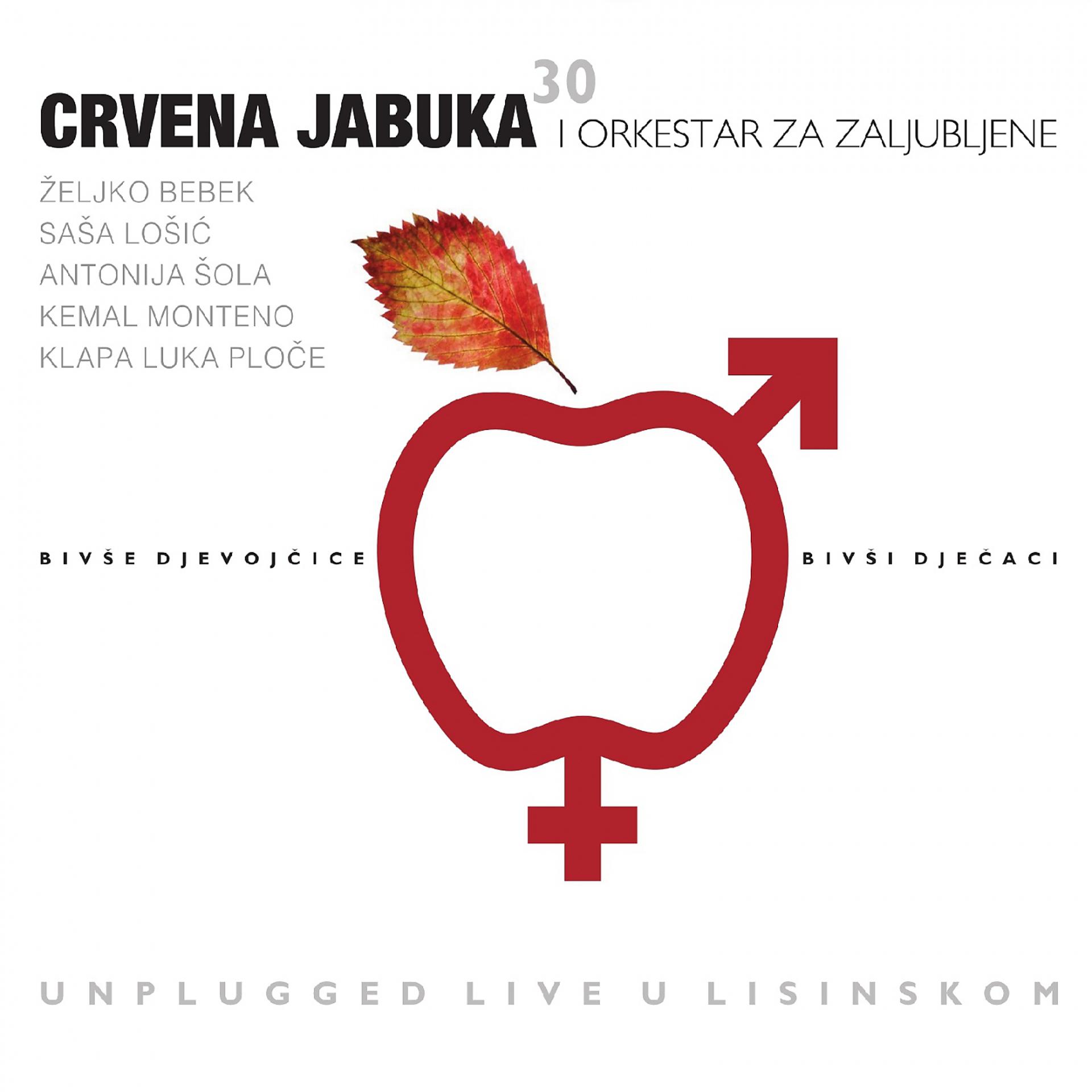 Постер альбома Bivše Djevojčice, Bivši Dječaci - Unplugged Live U Lisinskom
