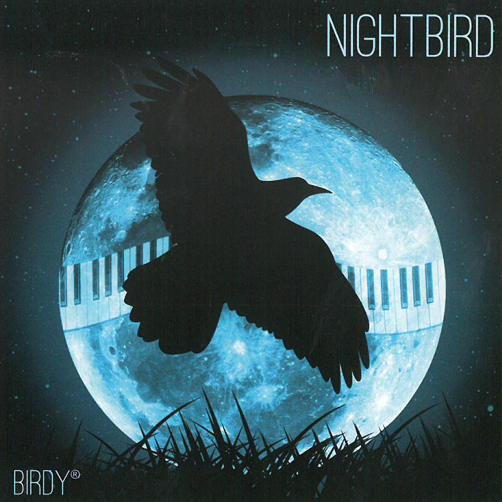 Постер альбома Nightbird