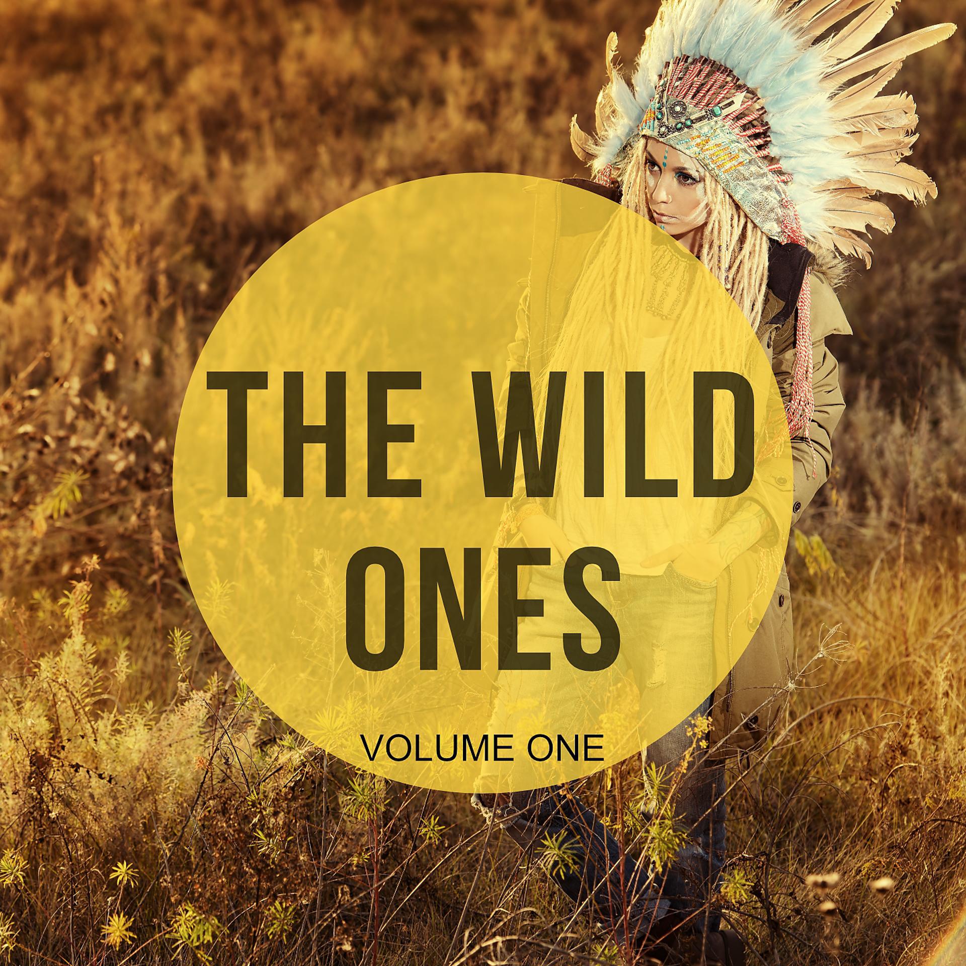 Постер альбома The Wild Ones, Vol. 1