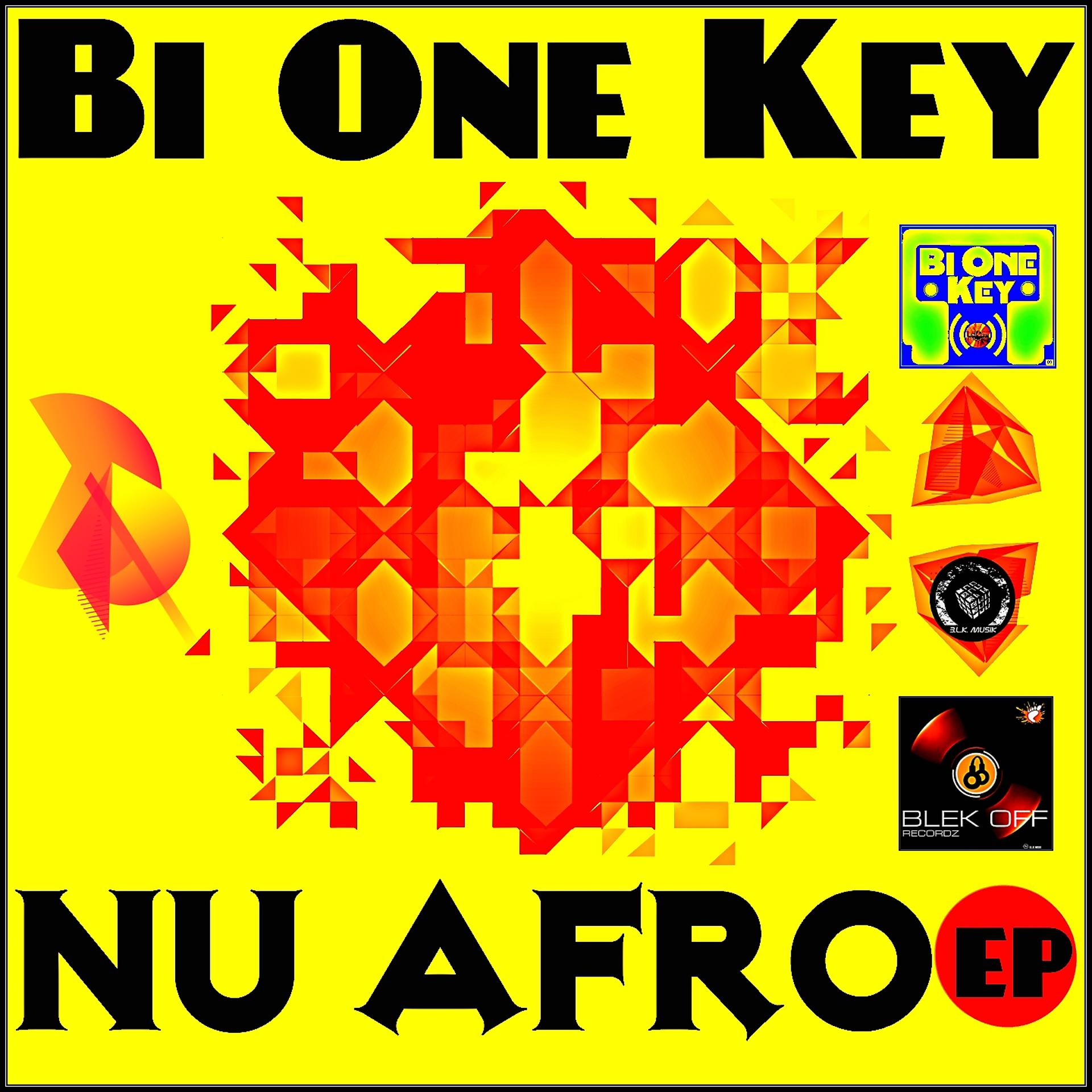 Постер альбома Nu Afro