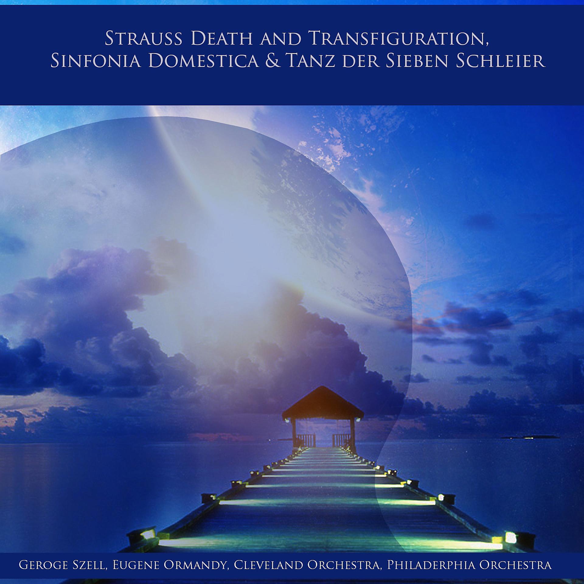 Постер альбома Strauss Death and Transfiguration, Sinfonia Domestica & Tanz der Sieben Schleier