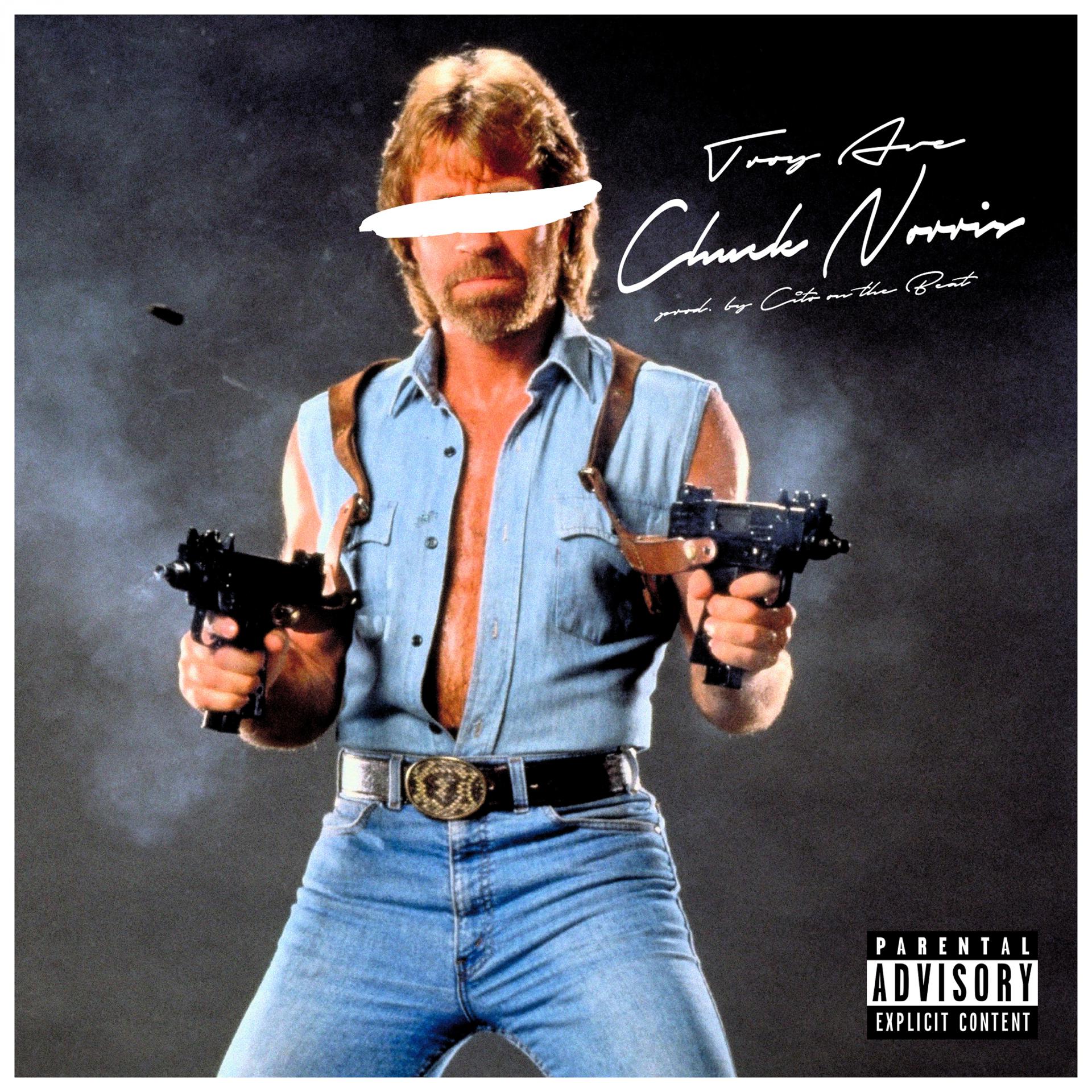 Постер альбома Chuck Norris (Hoes & Gangstas) - Single