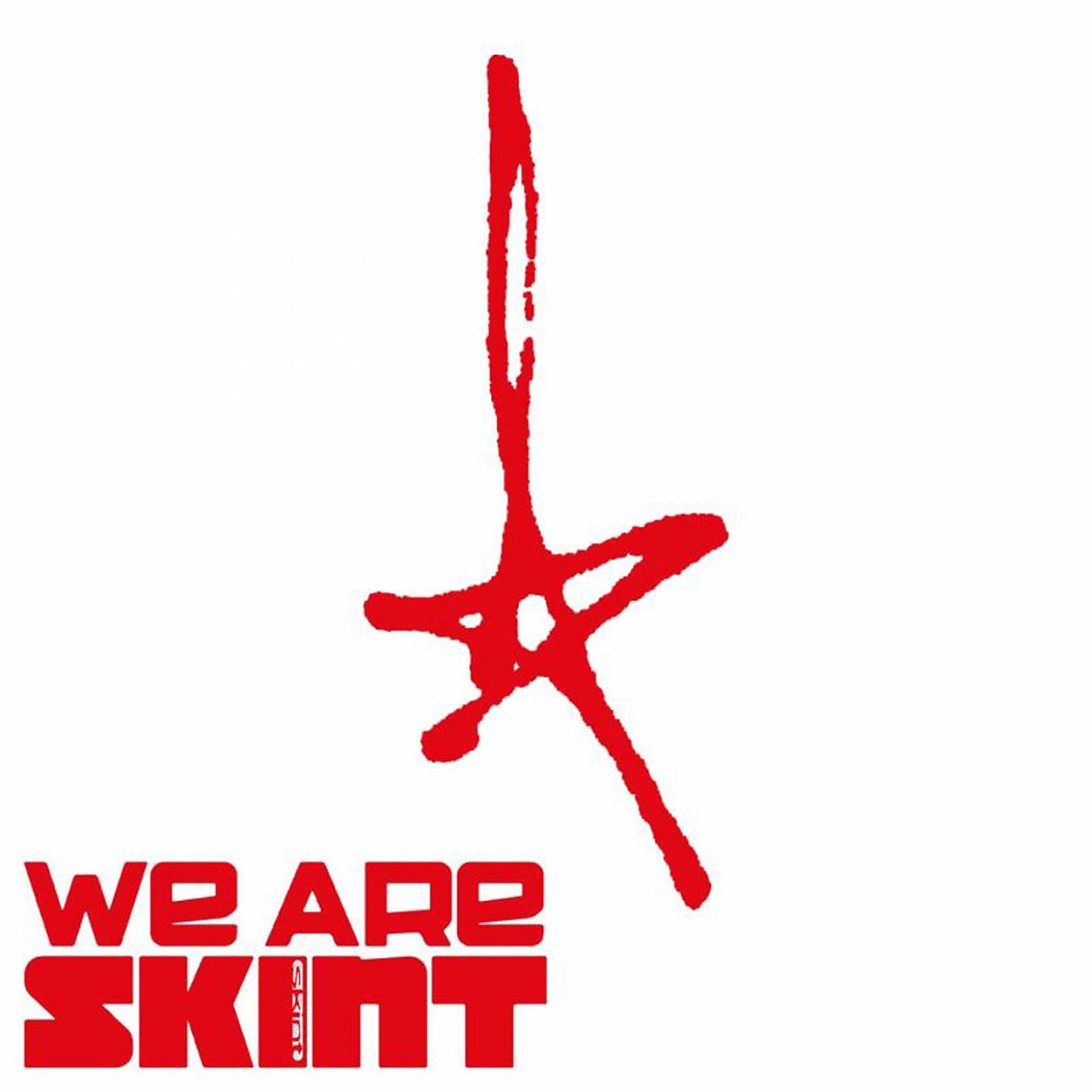 Постер альбома We Are Skint