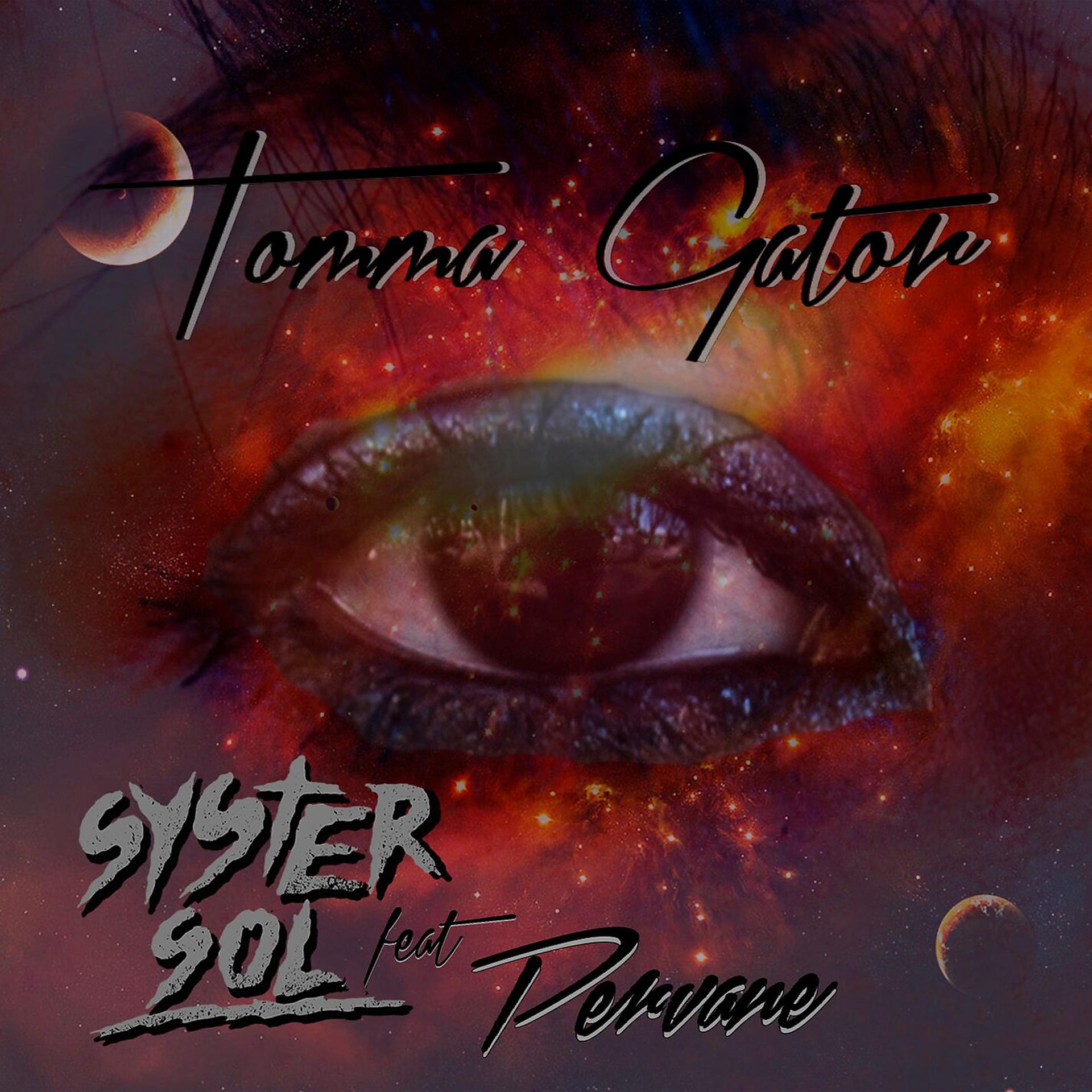 Постер альбома Tomma gator
