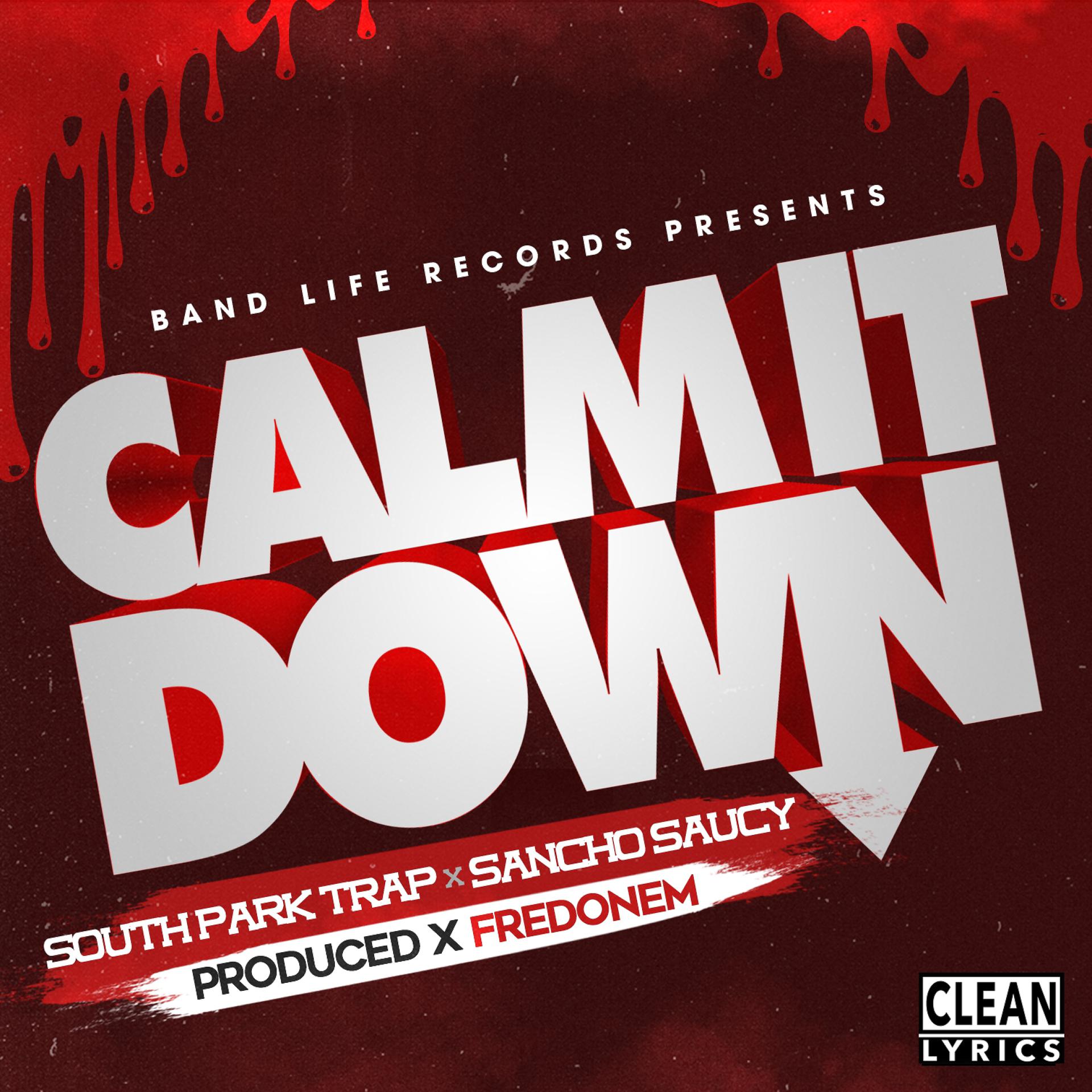 Постер альбома Calm It Down (feat. Sancho Saucy) - Single