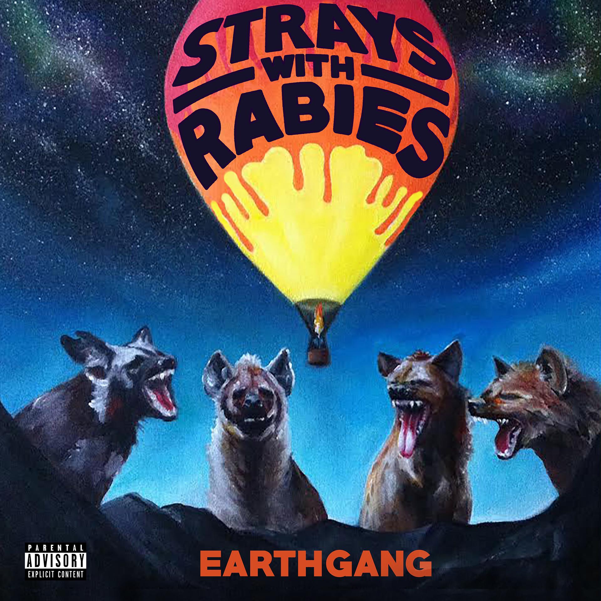Постер альбома Strays with Rabies