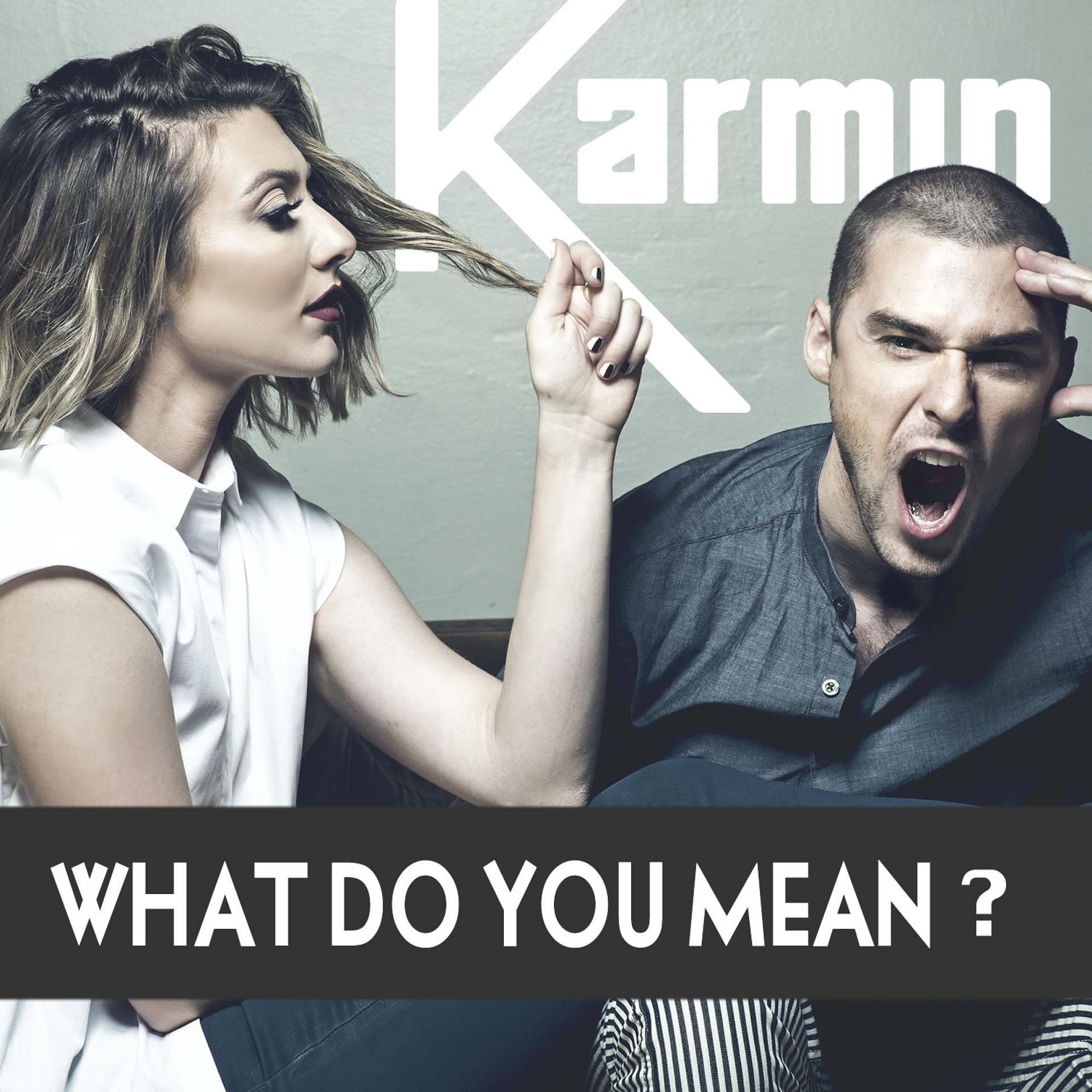 Постер альбома What Do You Mean? - Single