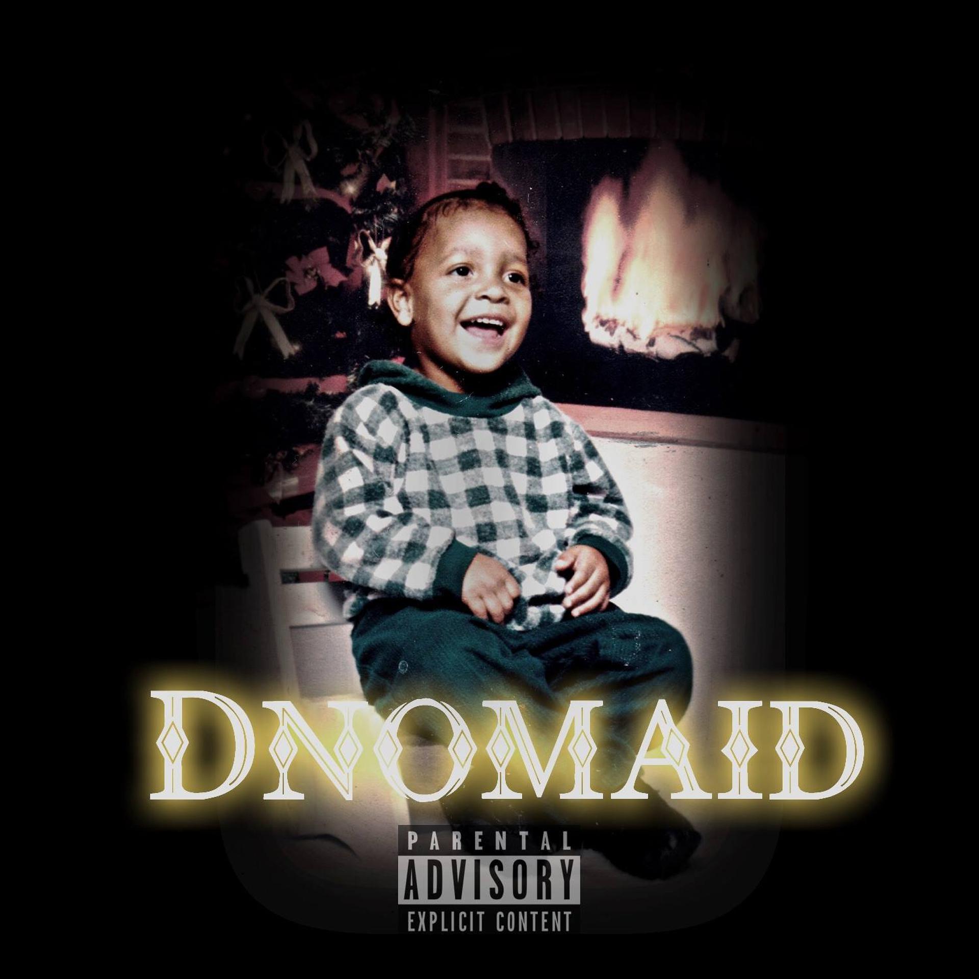 Постер альбома Dnomaid