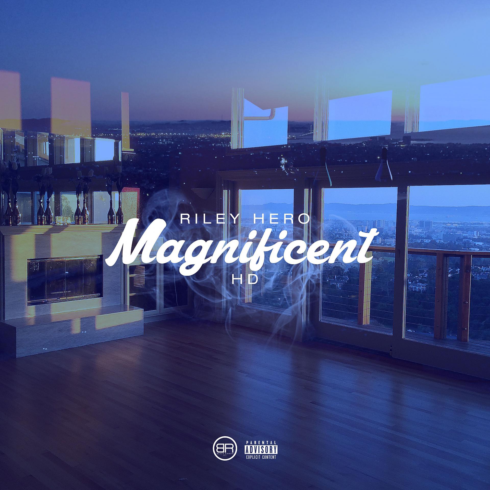 Постер альбома Magnificent (feat. HD) - Single