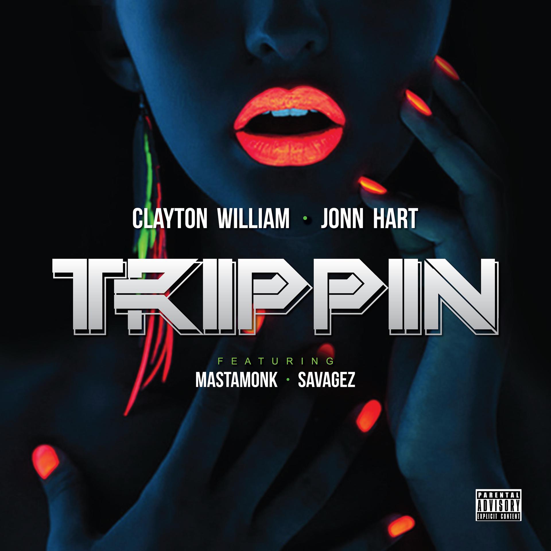 Постер альбома Trippin (feat. Mastamonk & Savagez)