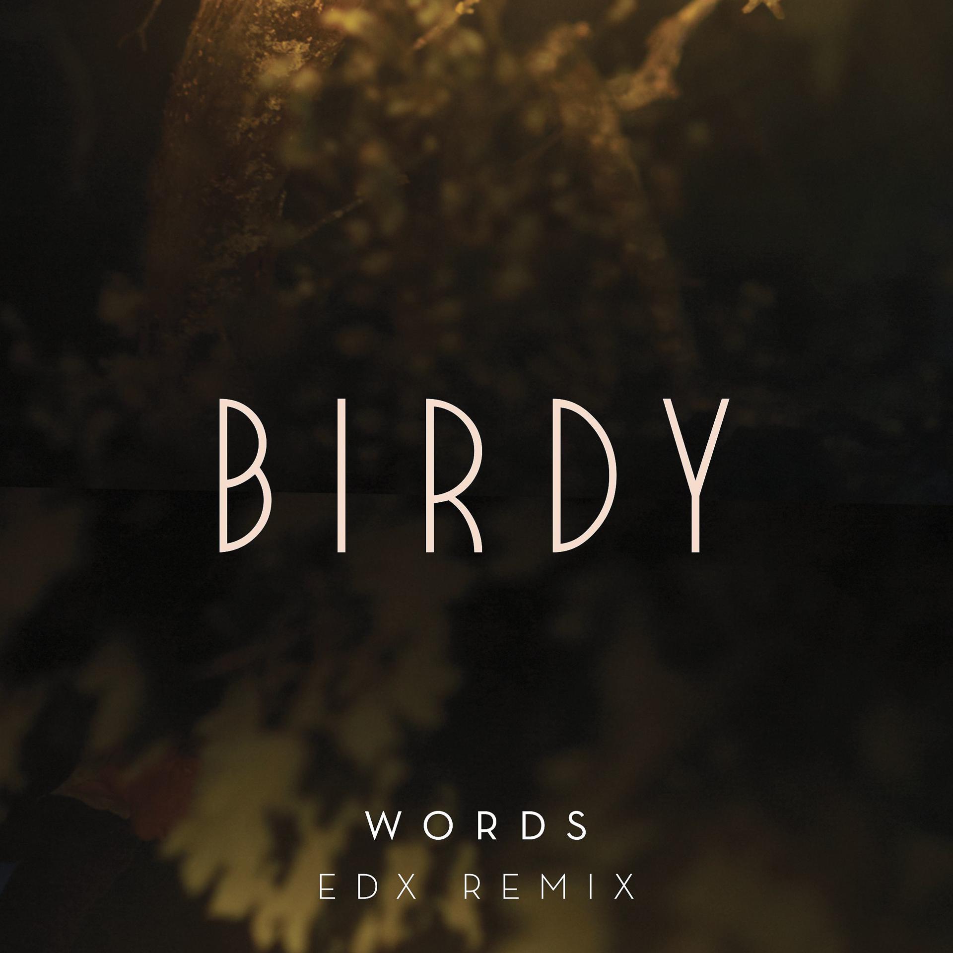 Постер альбома Words (EDX Remix)