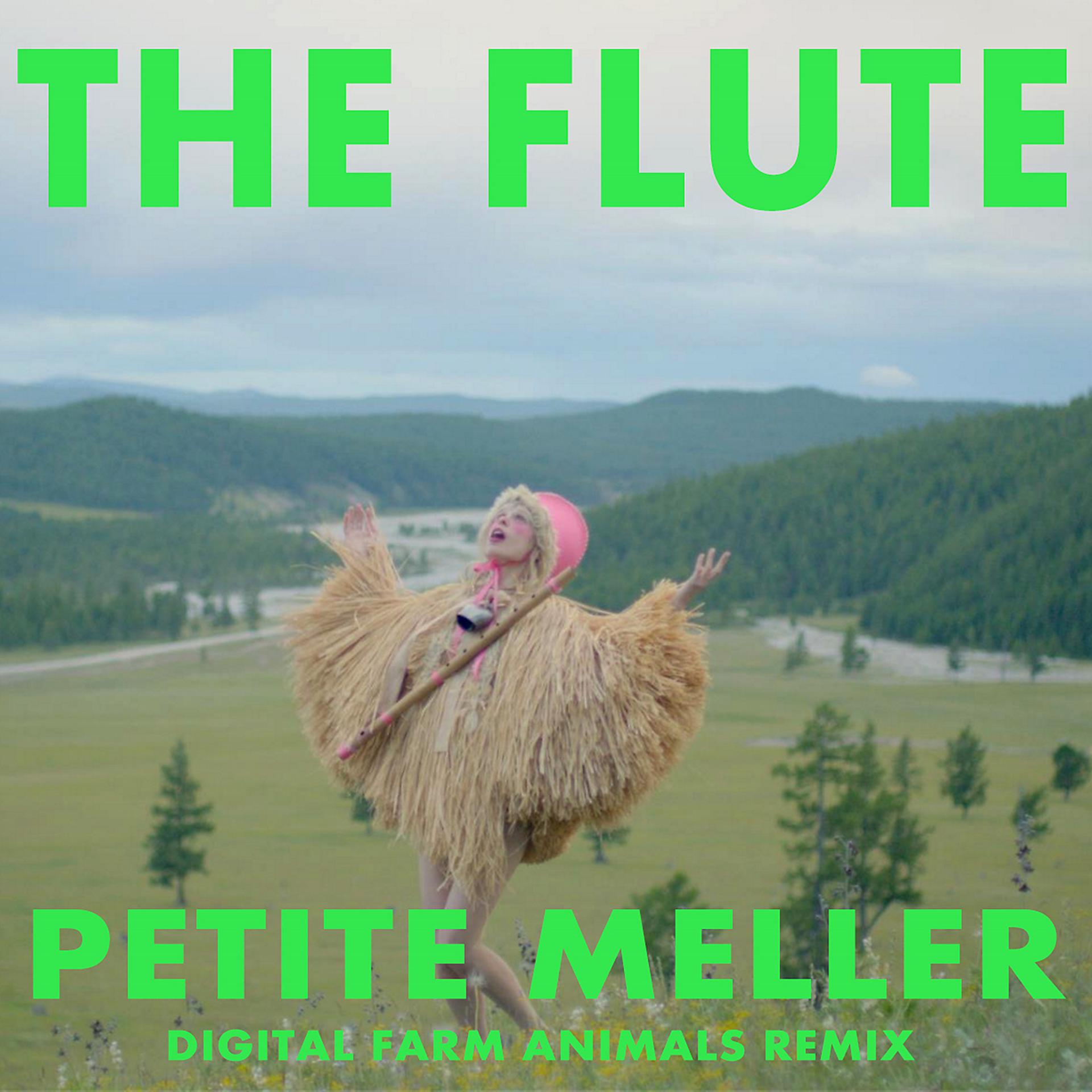 Постер альбома The Flute