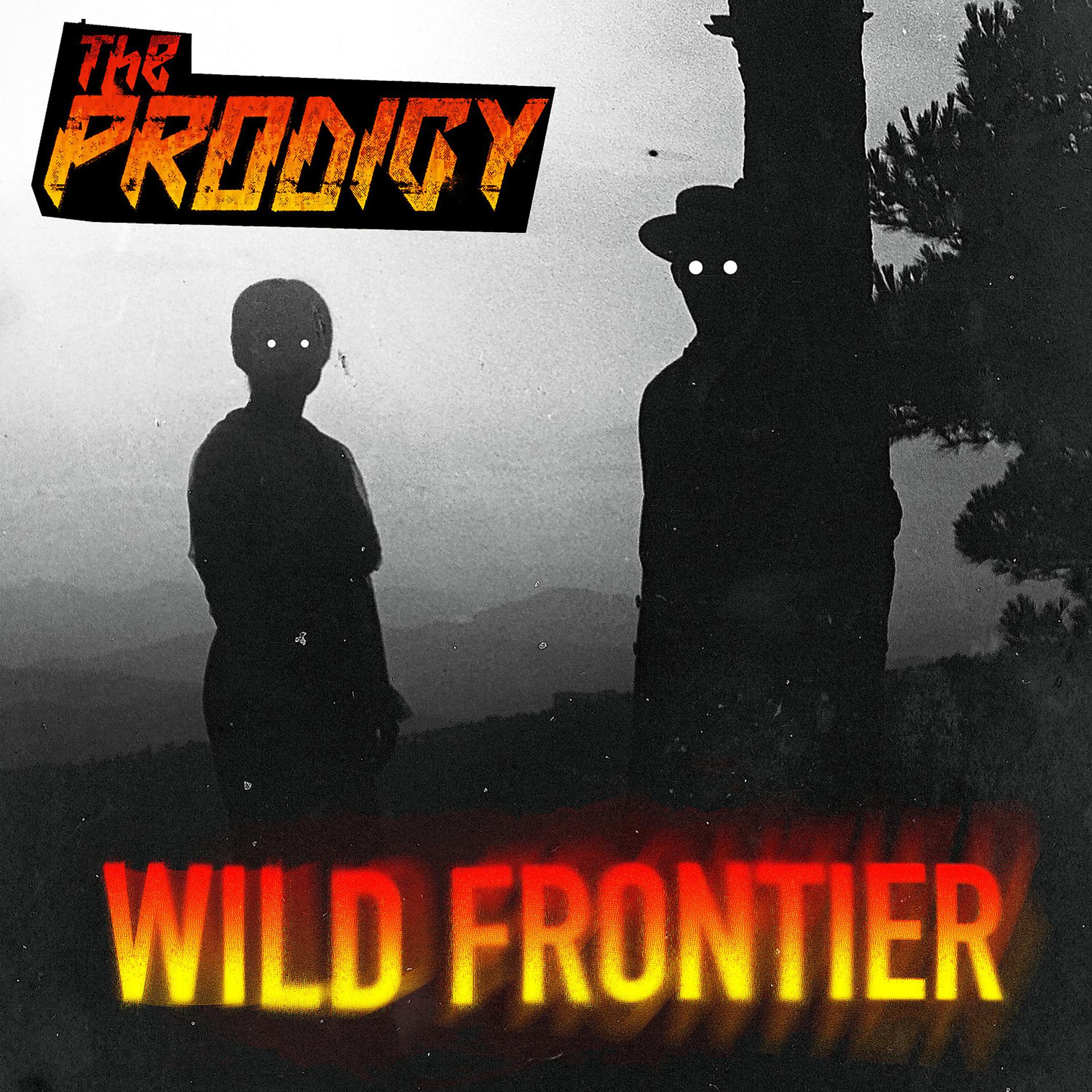 Постер альбома Wild Frontier