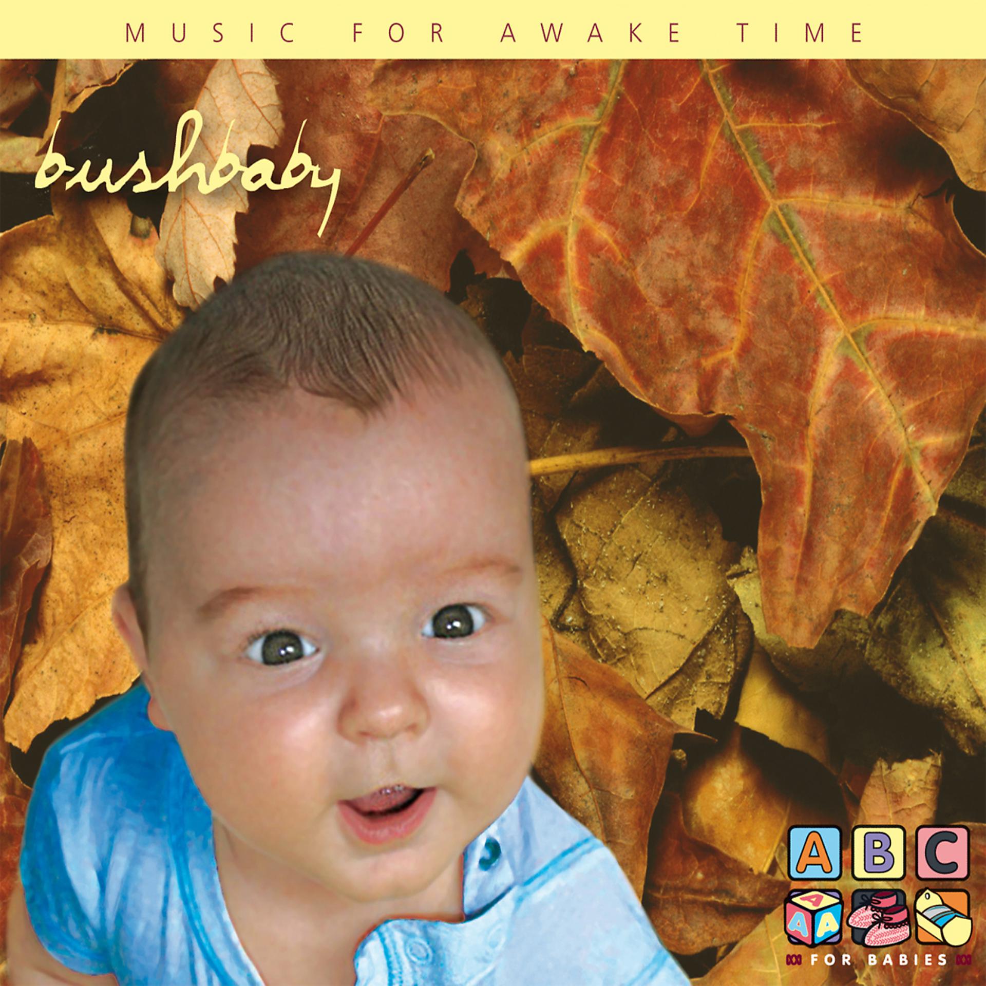 Постер альбома Bush Baby - Music For Awake Time