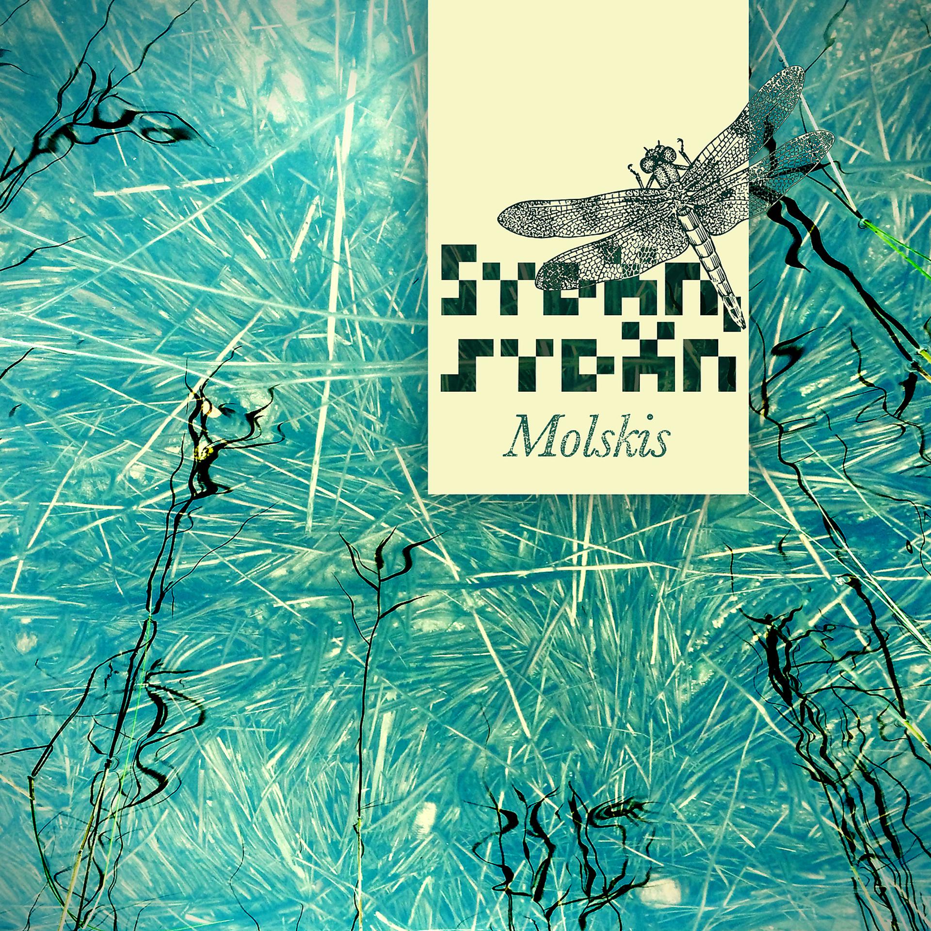 Постер альбома Molskis