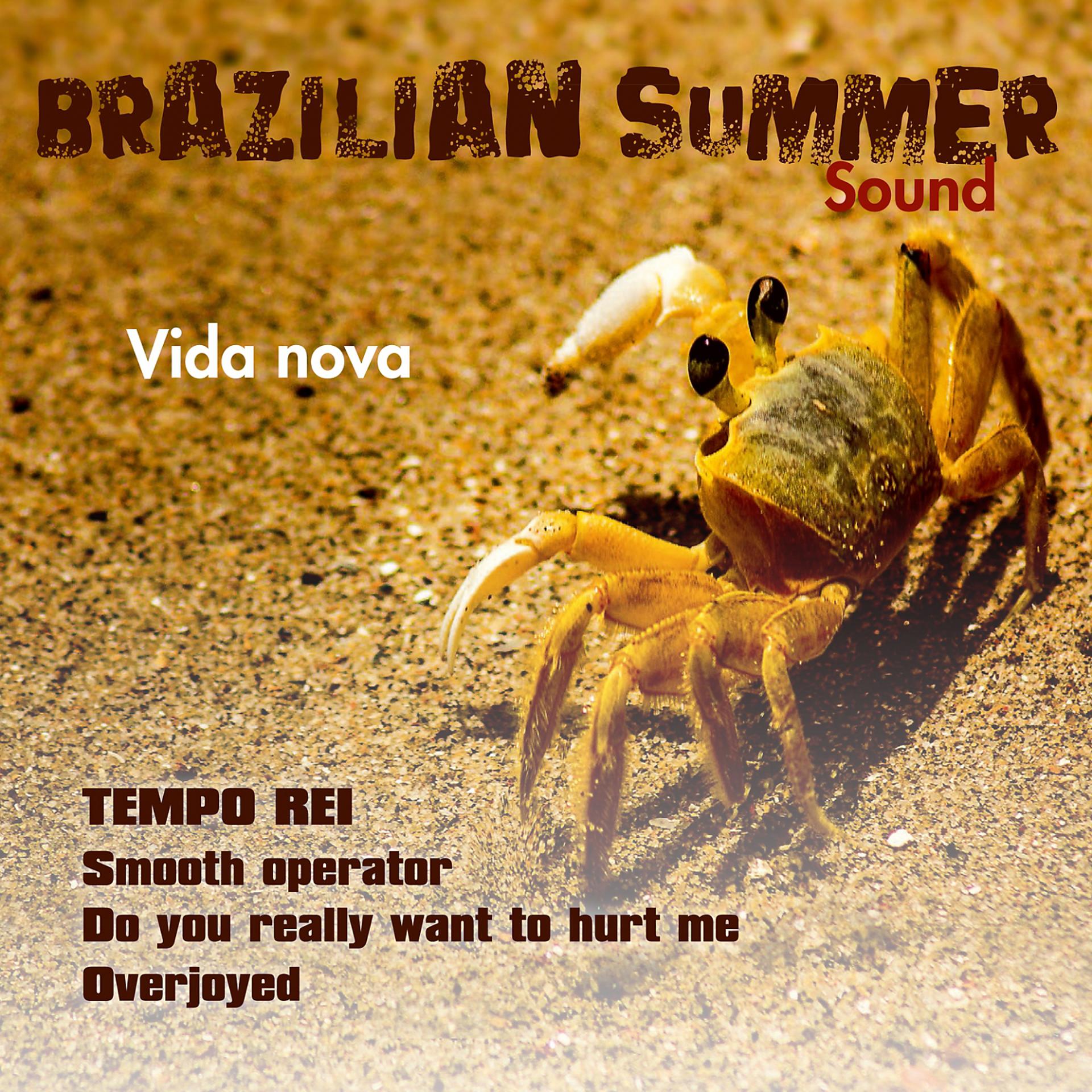 Постер альбома Vida Nova