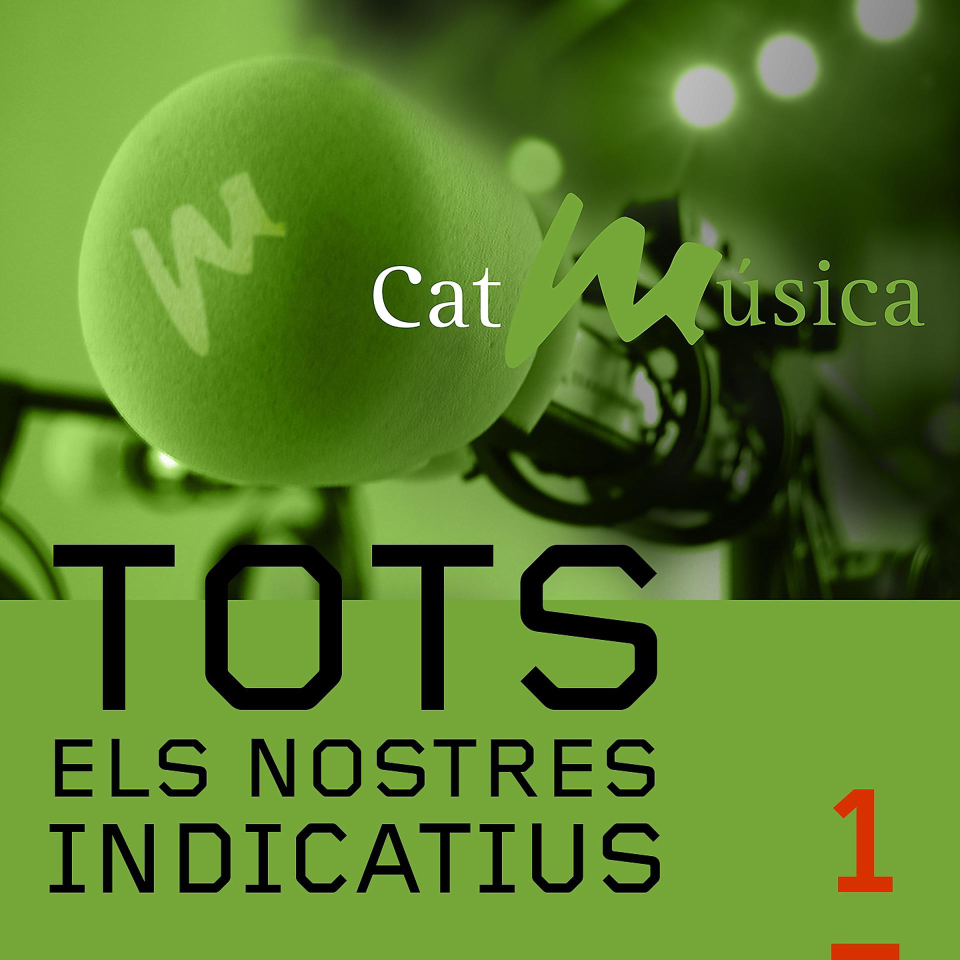 Постер альбома Catalunya Música. Totes els Nostres Indicatius