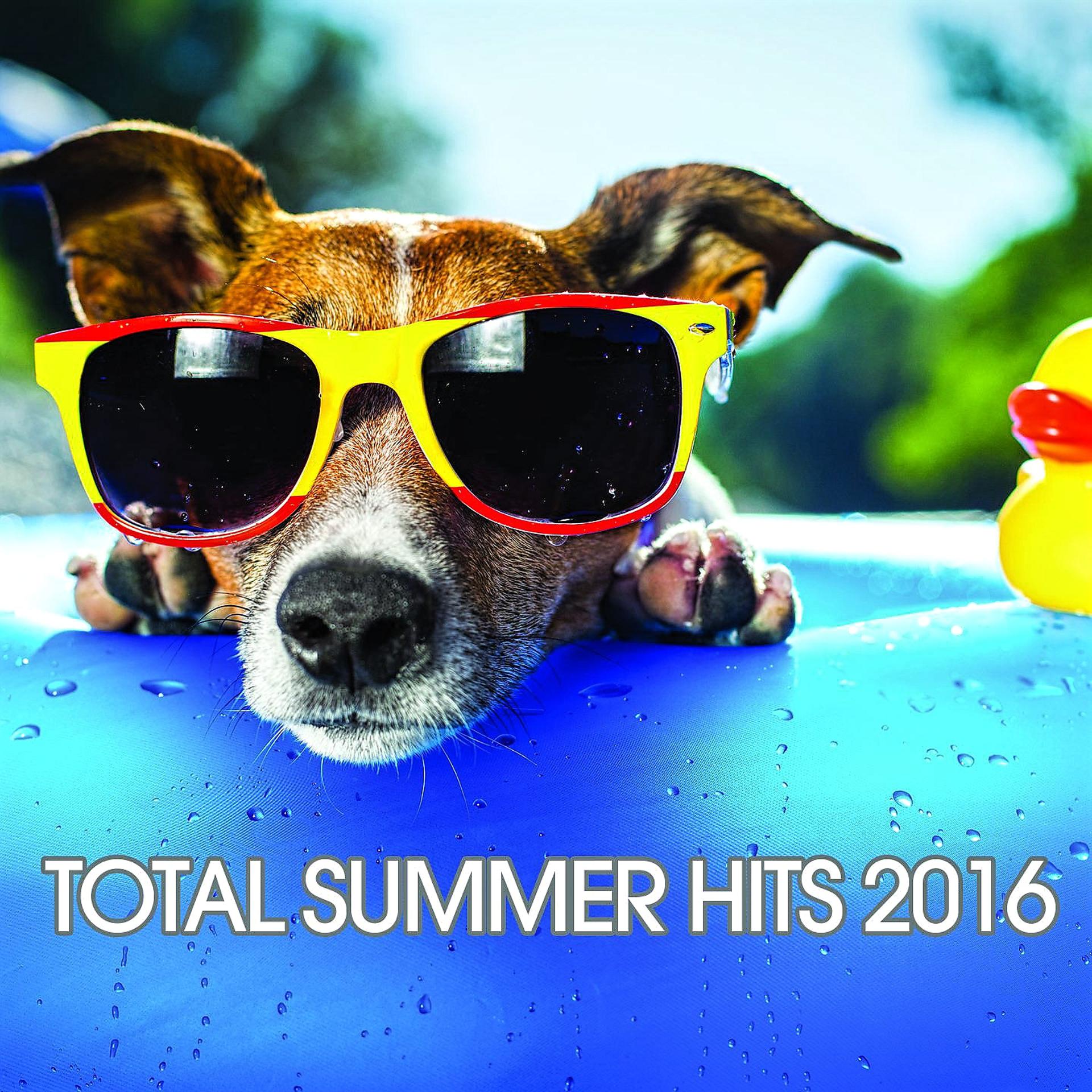 Постер альбома Total Summer Hits 2016