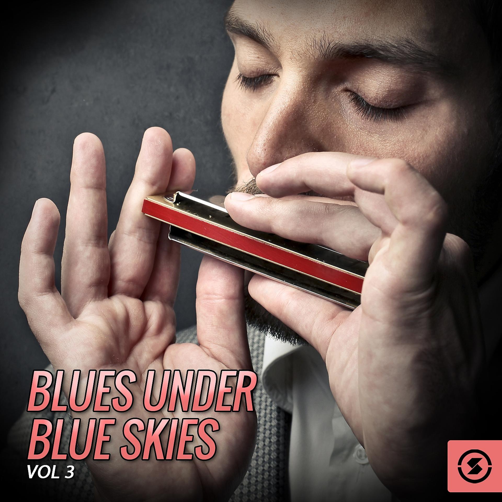 Постер альбома Blues Under Blue Skies, Vol. 3