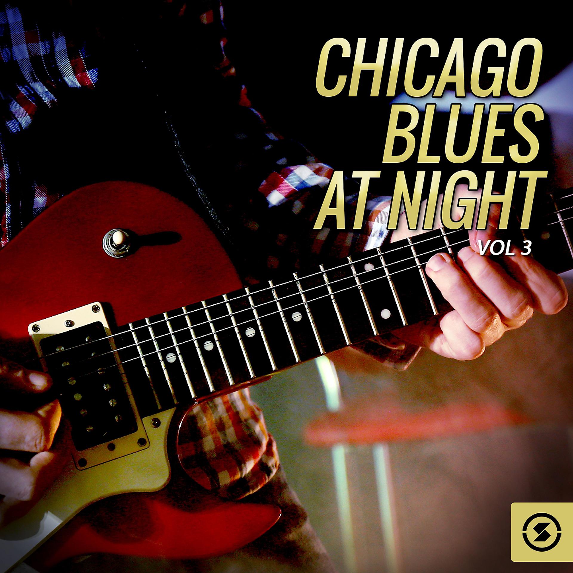 Постер альбома Chicago Blues at Night, Vol. 3