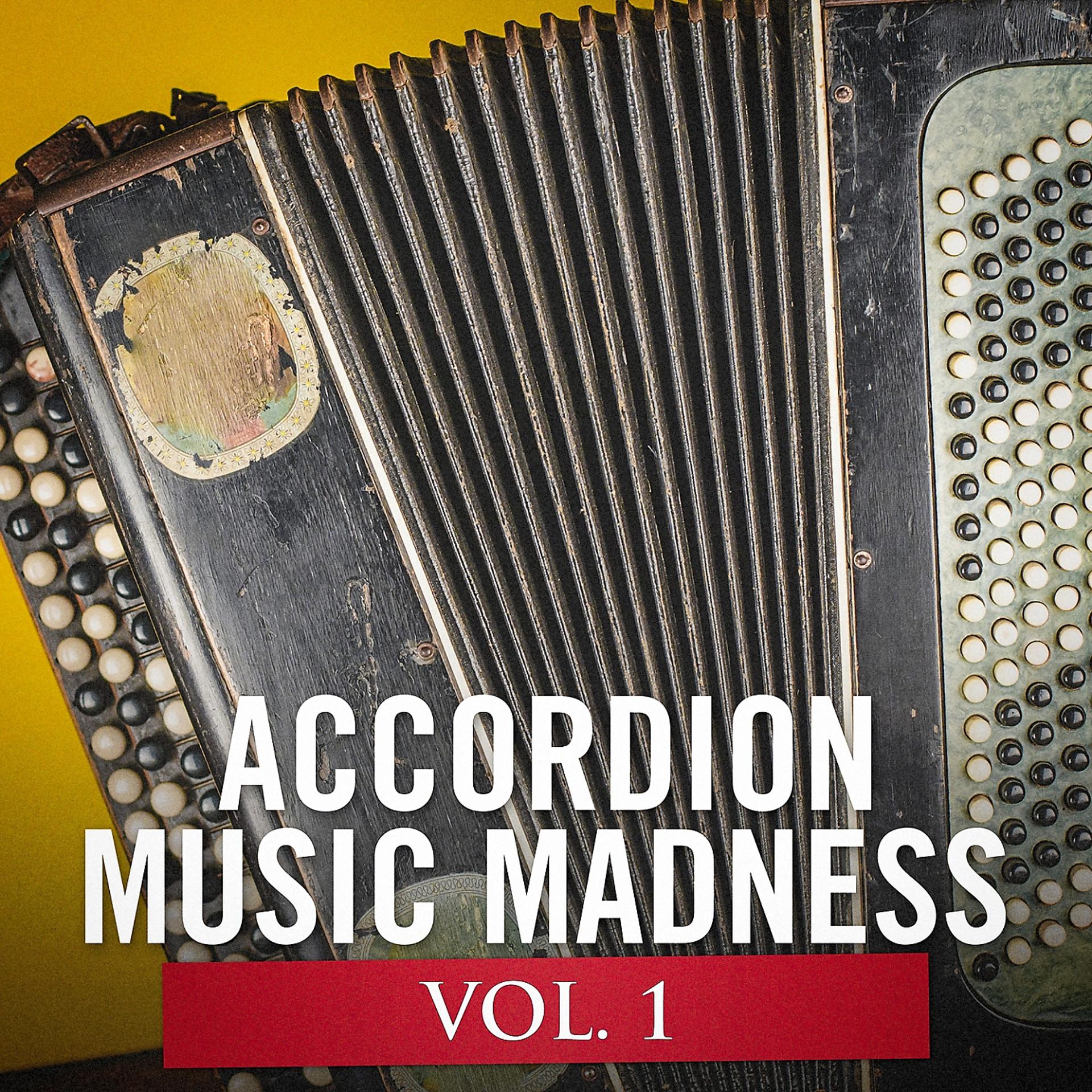 Постер альбома Accordion Music Madness, Vol. 1