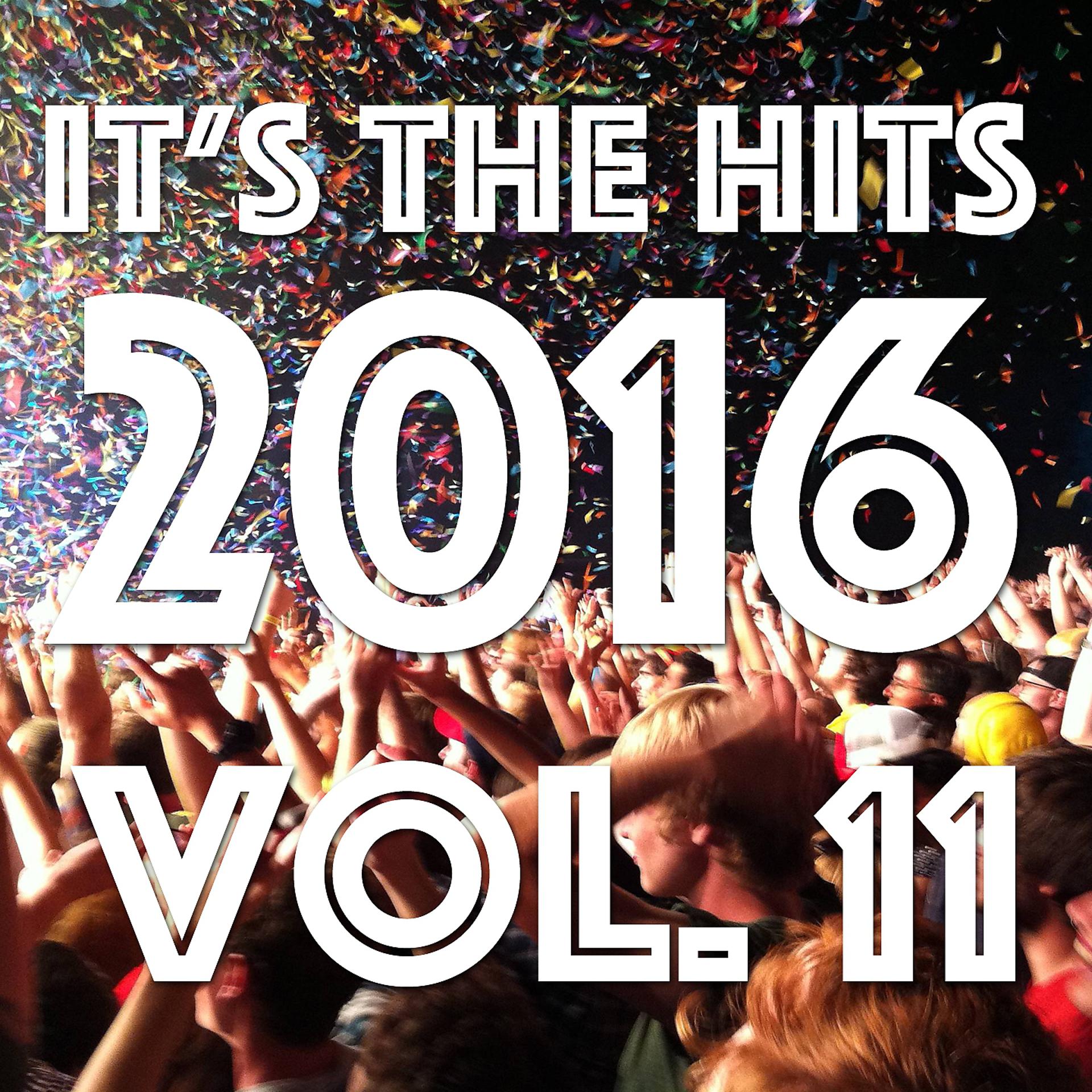 Постер альбома It's The Hits 2016! Vol. 11