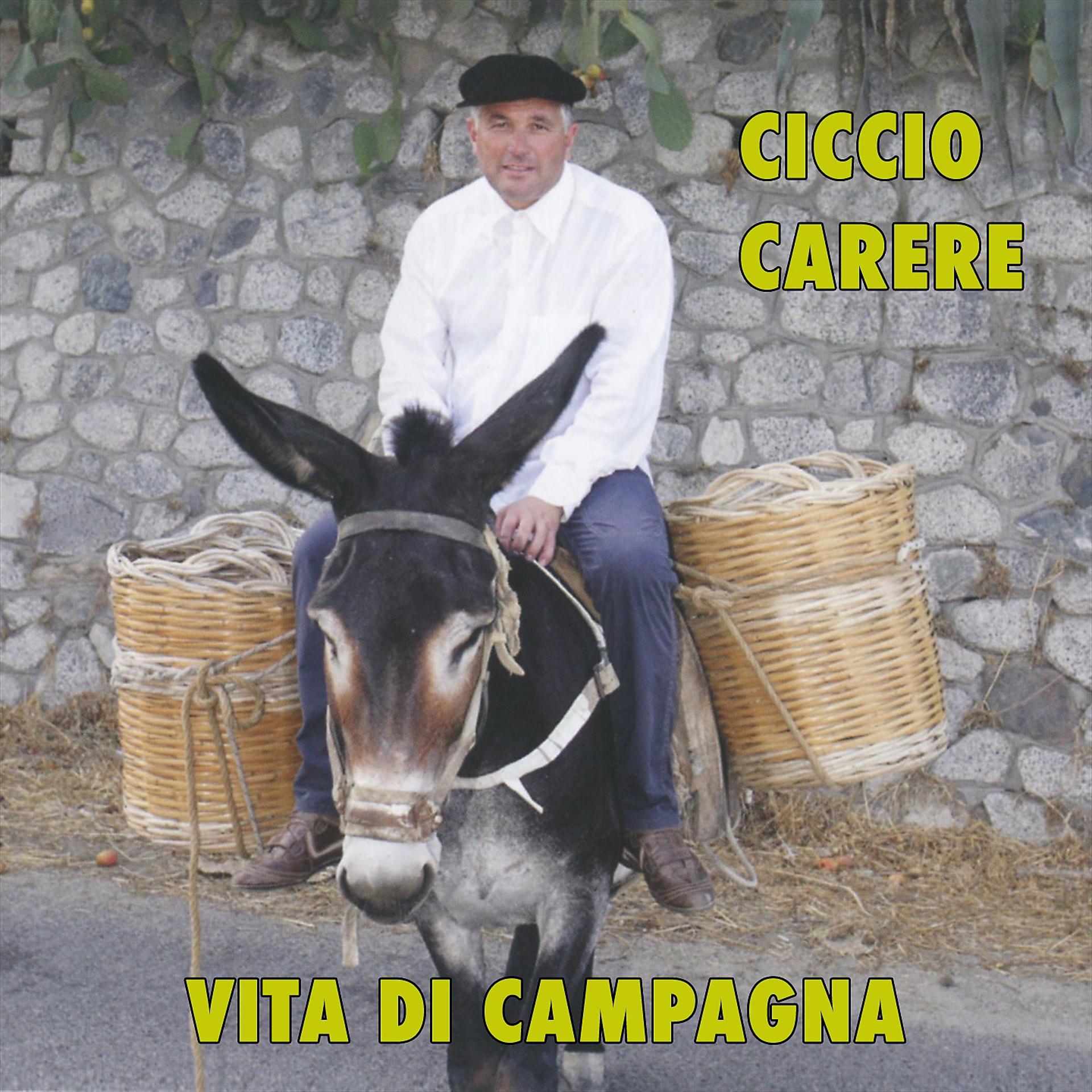 Постер альбома Vita di campagna