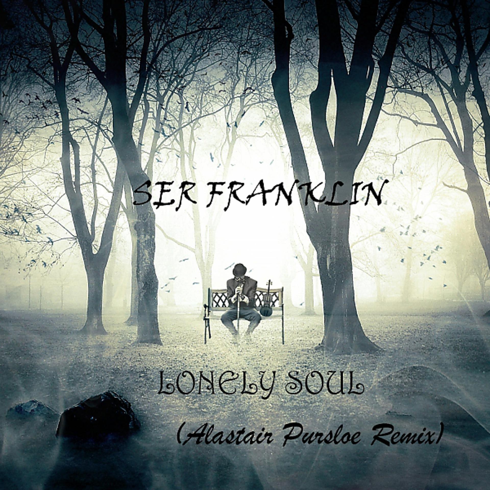Постер альбома Lonely Soul (Alastair Pursloe Remix)