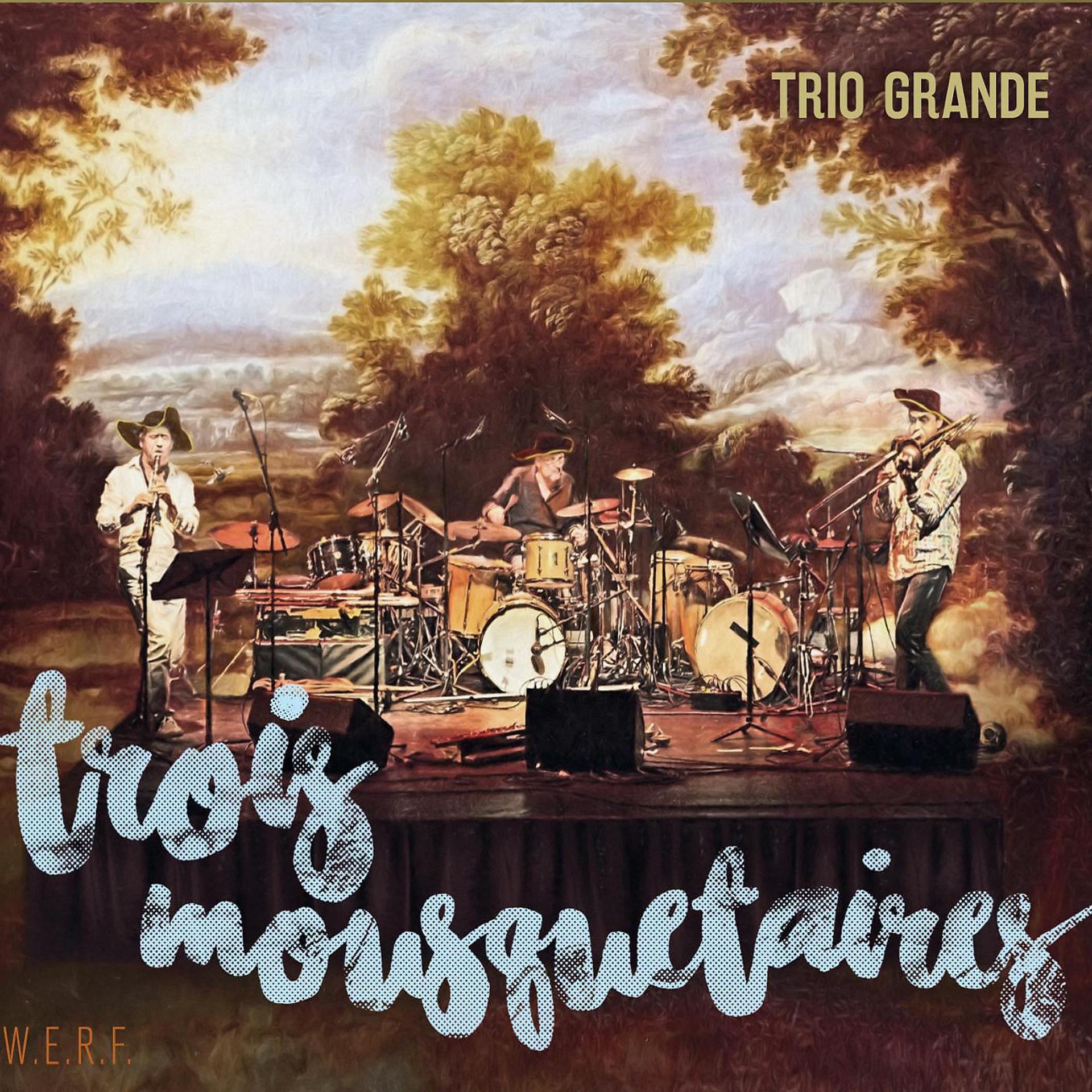 Постер альбома Trois mousquetaires