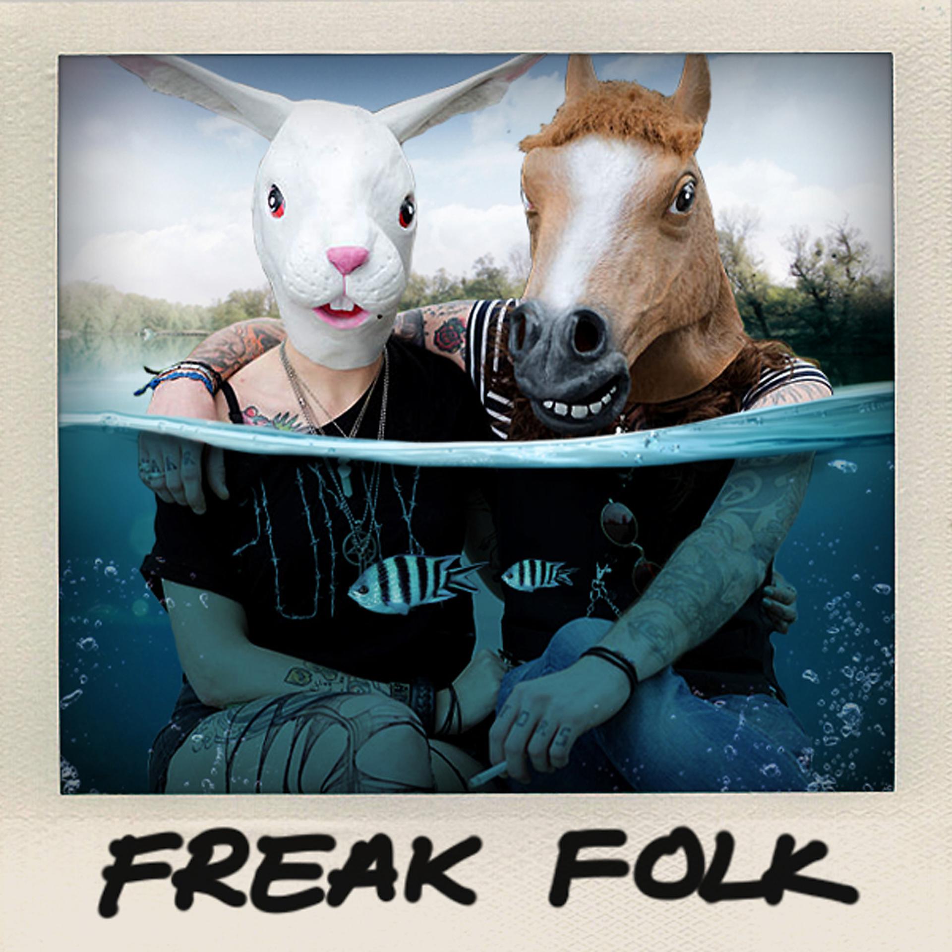 Постер альбома Freak Folk