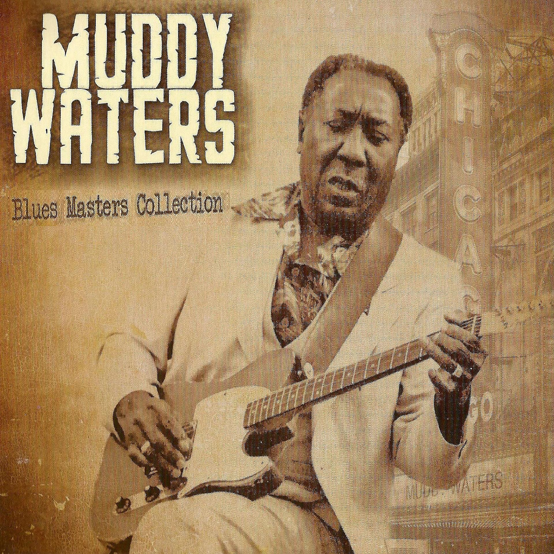 Постер альбома Blues Masters Collection, Muddy Waters